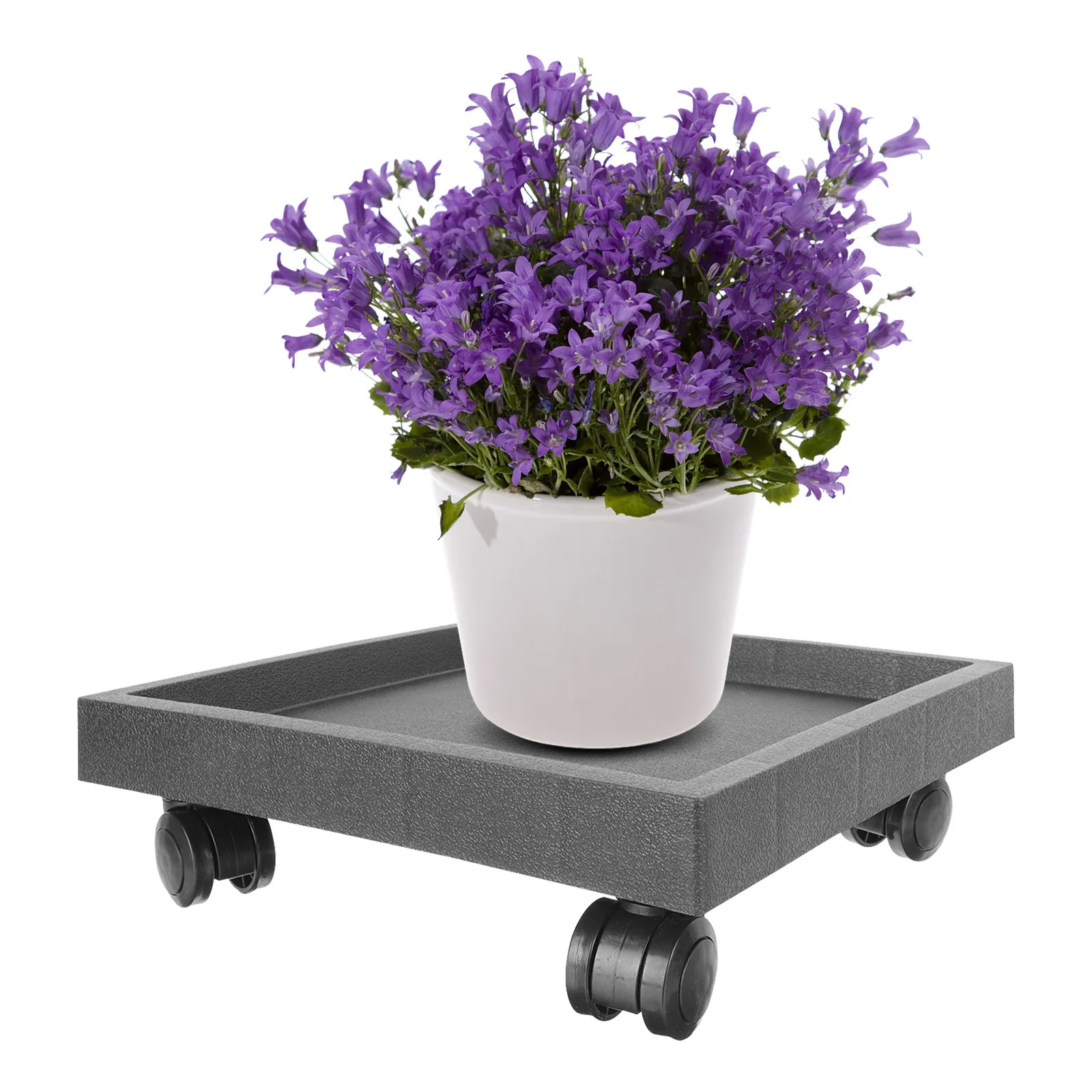 1Pcs Resin Flowerpot Tray Square Base Heavy Duty Movable Plant Pot Holder Prevents Water Damage Garden Indoor Outdoor Decoration
1Pcs Resin Flowerpot Tray Square Base Heavy Duty Movable Plant Pot Holder Prevents Water Damage Garden Indoor Outdoor Decoration