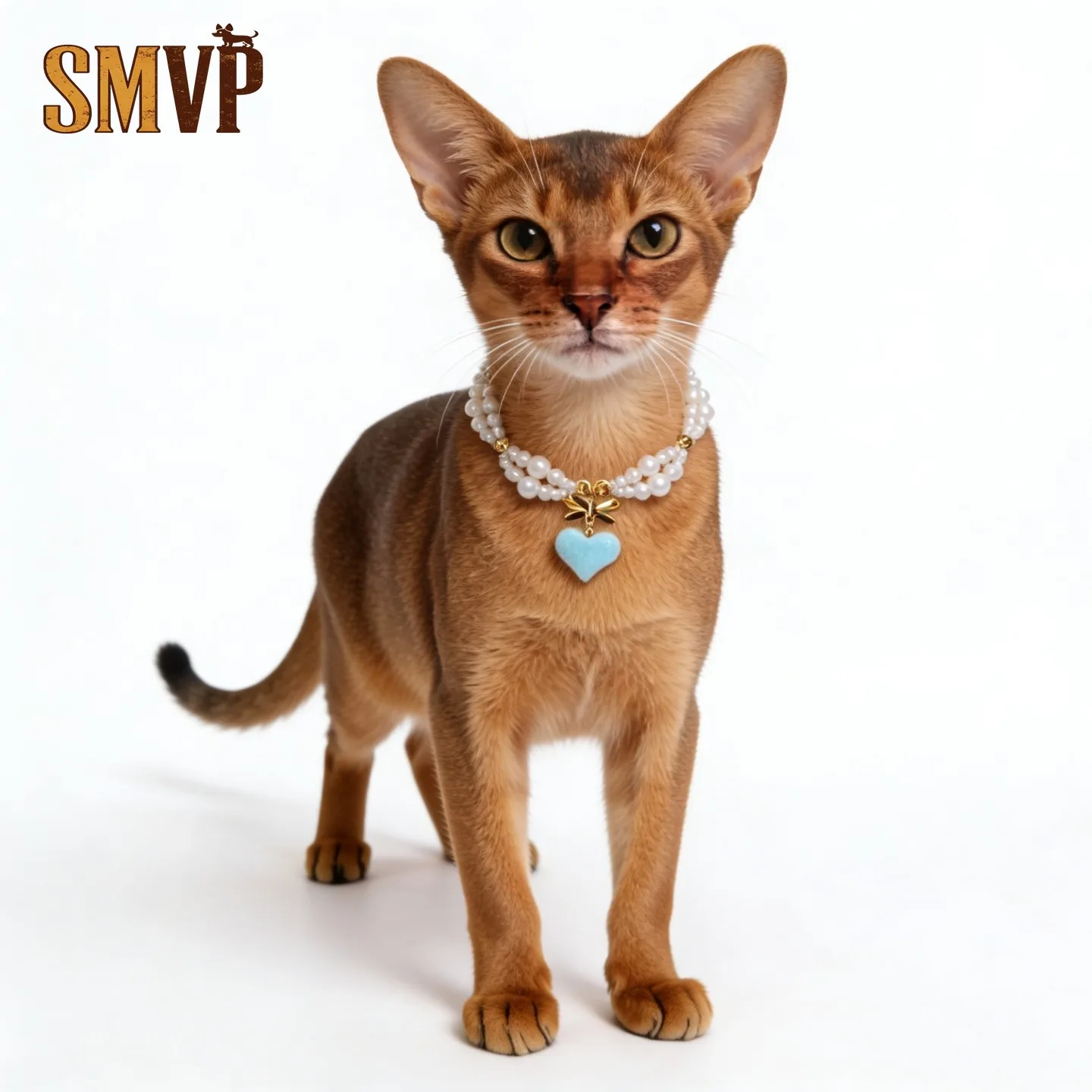 French Double Pearl Blue Velvet Love Pendant Decoration Pet Kitten Puppy Necklace Choker Take A Photo and Get A Good Result
French Double Pearl Blue Velvet Love Pendant Decoration Pet Kitten Puppy Necklace Choker Take A Photo and Get A Good Result