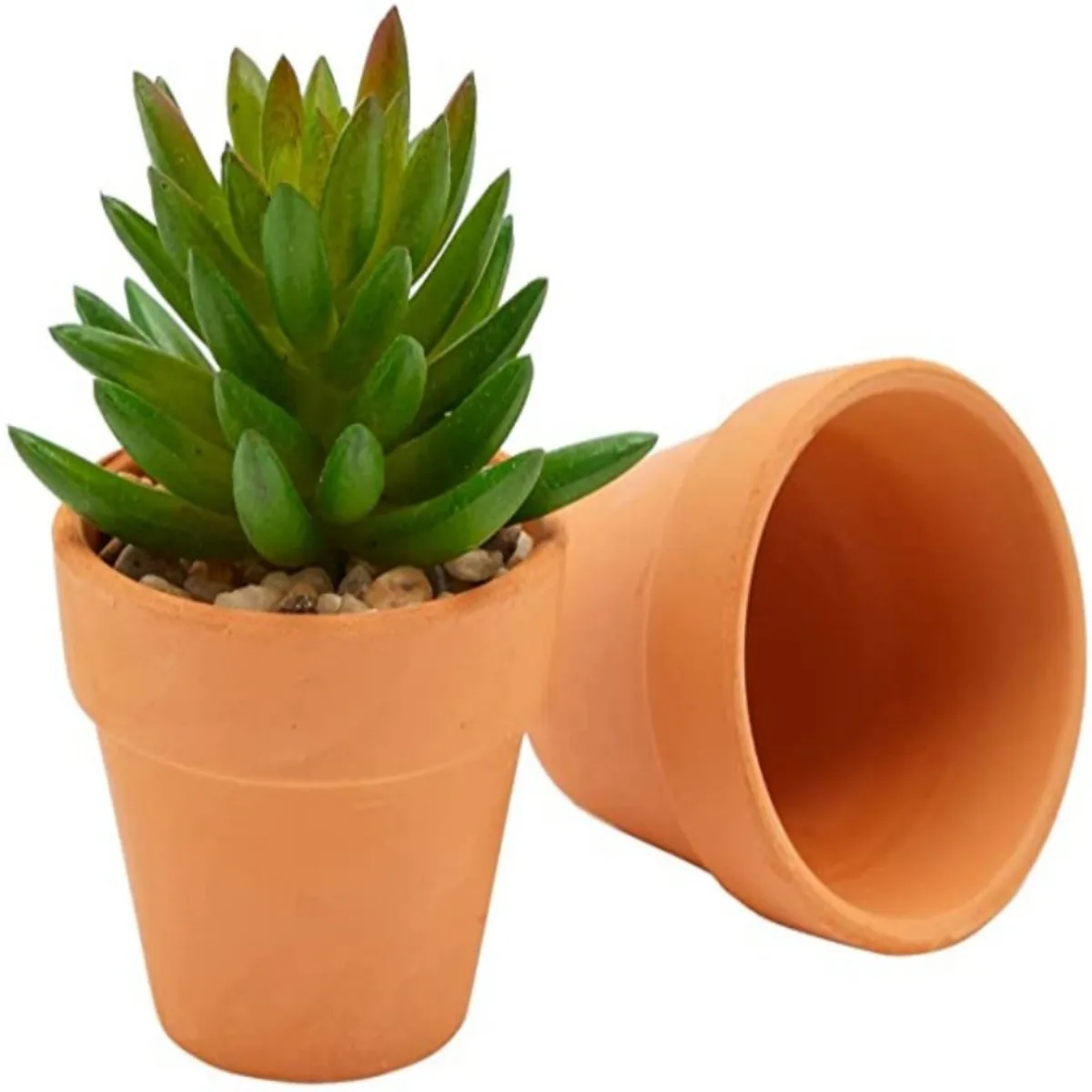 16 Pcs 1.8'' Terra Cotta Pots Pottery Planter Cactus Flower Pots Succulent Pot with Drainage Hole- Great for Plants,Crafts
16 Pcs 1.8'' Terra Cotta Pots Pottery Planter Cactus Flower Pots Succulent Pot with Drainage Hole- Great for Plants,Crafts