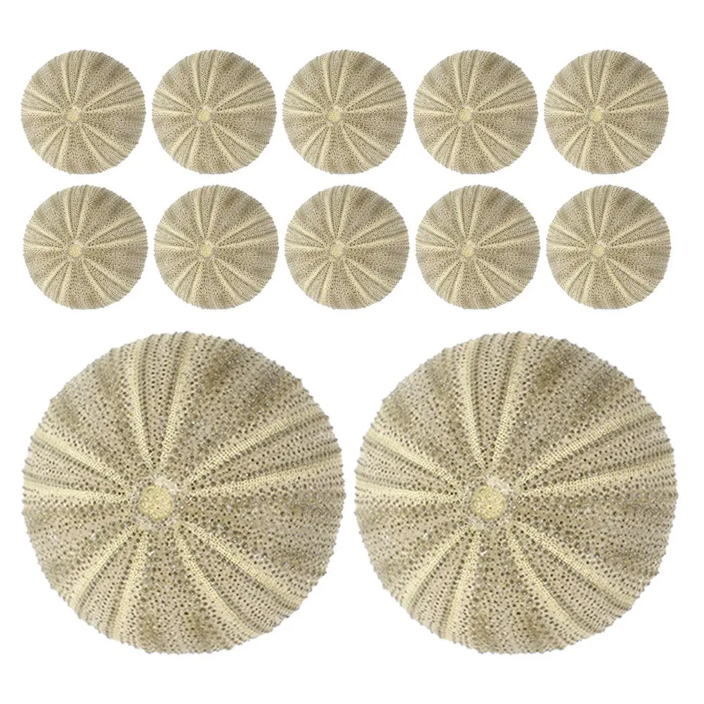 18 Pcs Sea Shell Shells Embellishment DIY Handicraft Accessory Manual Crafts Fish Tank Landscaping Ornament
18 Pcs Sea Shell Shells Embellishment DIY Handicraft Accessory Manual Crafts Fish Tank Landscaping Ornament
