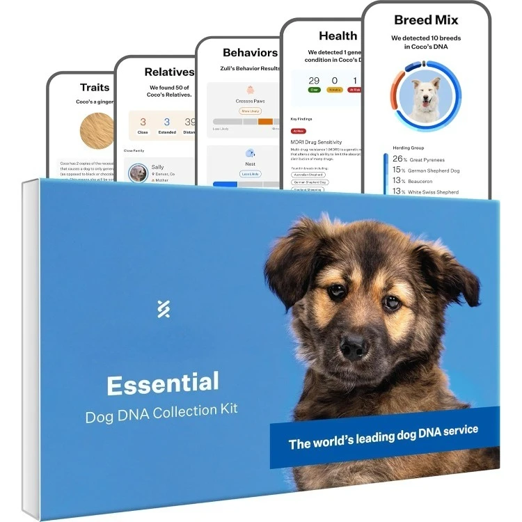 Panel Essential Dog DNA Kit: Most Accurate Test for 365+ Breeds, 30 Genetic Health Conditions, 50+ Traits, Relatives, Anc
Panel Essential Dog DNA Kit: Most Accurate Test for 365+ Breeds, 30 Genetic Health Conditions, 50+ Traits, Relatives, Anc
