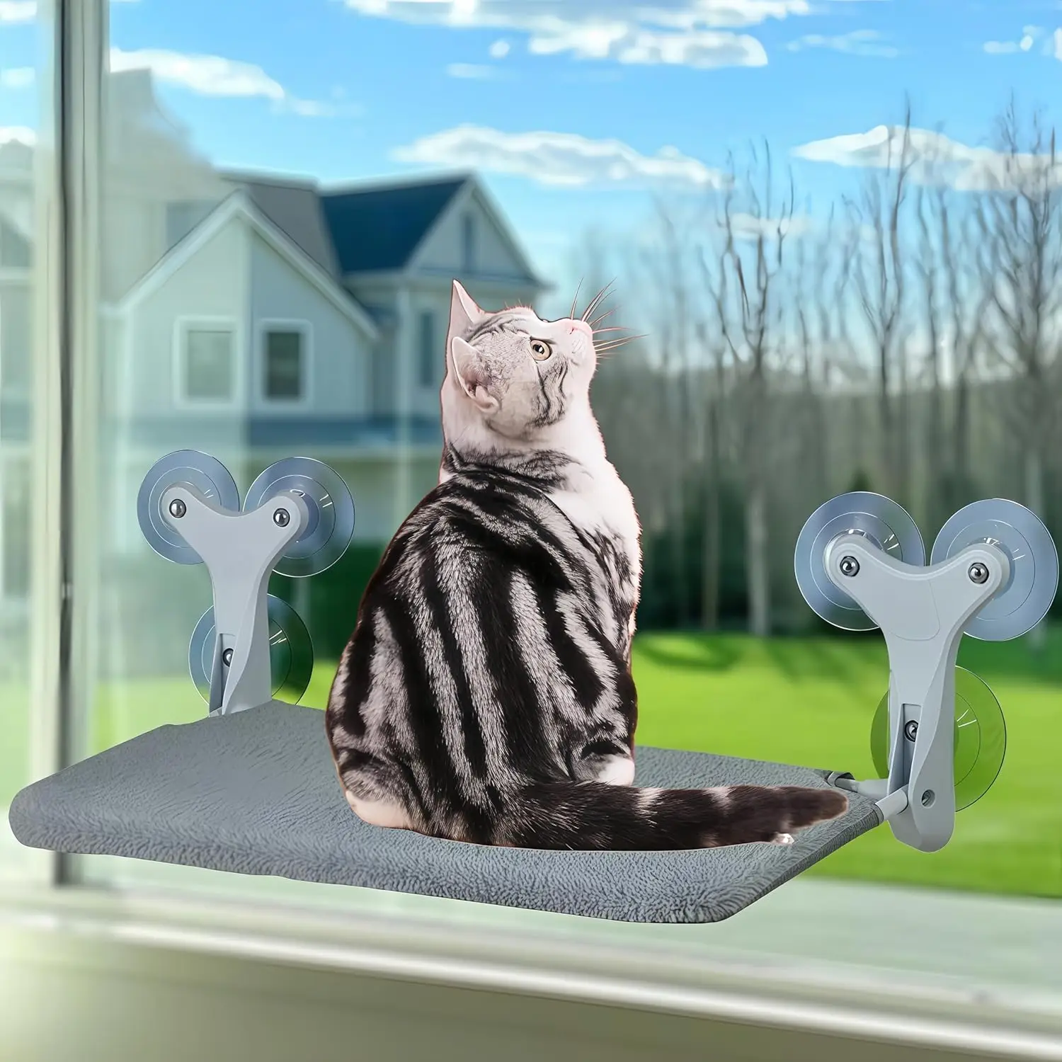 Cat Window Perch With 6 Strong Suction Cups,Indoor Folding Cat Hammock,Solid Cats Bed,Thickened Metal Frame Holds 55
Cat Window Perch With 6 Strong Suction Cups,Indoor Folding Cat Hammock,Solid Cats Bed,Thickened Metal Frame Holds 55