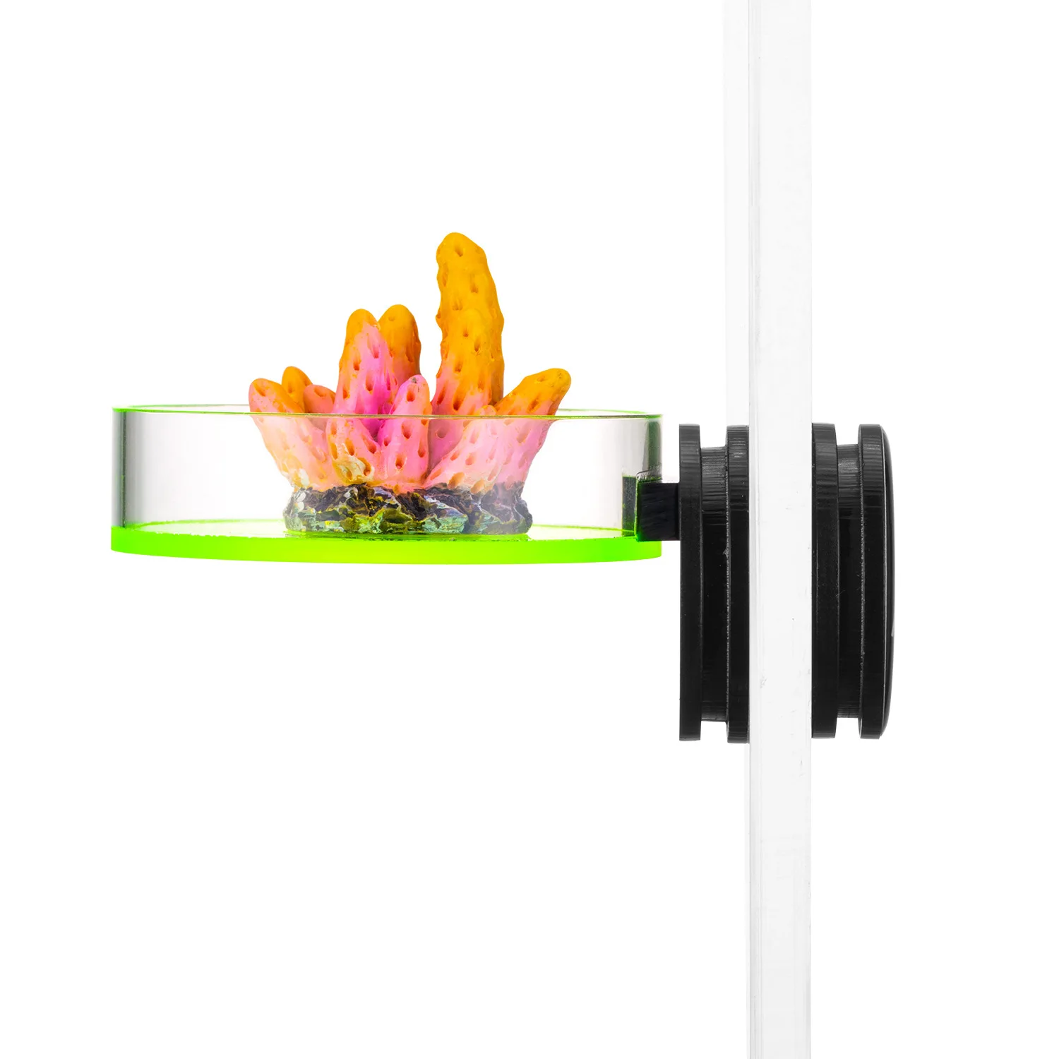 Marine Sources Magnetic Coral Frag Rack 70mm-Fluorescent Green Strong Hold Floating Shelf for SPS Coral,Aquarium Mounting Stand
Marine Sources Magnetic Coral Frag Rack 70mm-Fluorescent Green Strong Hold Floating Shelf for SPS Coral,Aquarium Mounting Stand