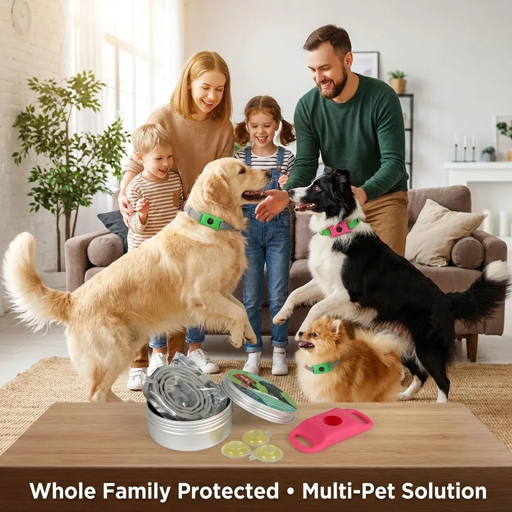 1/2/3pcs All-Round Pet Safety Care Collar Waterproof & Easy-to-Clean Set Ideal for Daily Outdoor Activities Travel for Dogs Cats
1/2/3pcs All-Round Pet Safety Care Collar Waterproof & Easy-to-Clean Set Ideal for Daily Outdoor Activities Travel for Dogs Cats