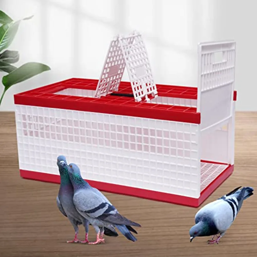Portable Folding Pigeon Cage with Handle for Racing Birds Red White Plastic Travel Carrier with 3 Doors and Ventilation Grids H
Portable Folding Pigeon Cage with Handle for Racing Birds Red White Plastic Travel Carrier with 3 Doors and Ventilation Grids H