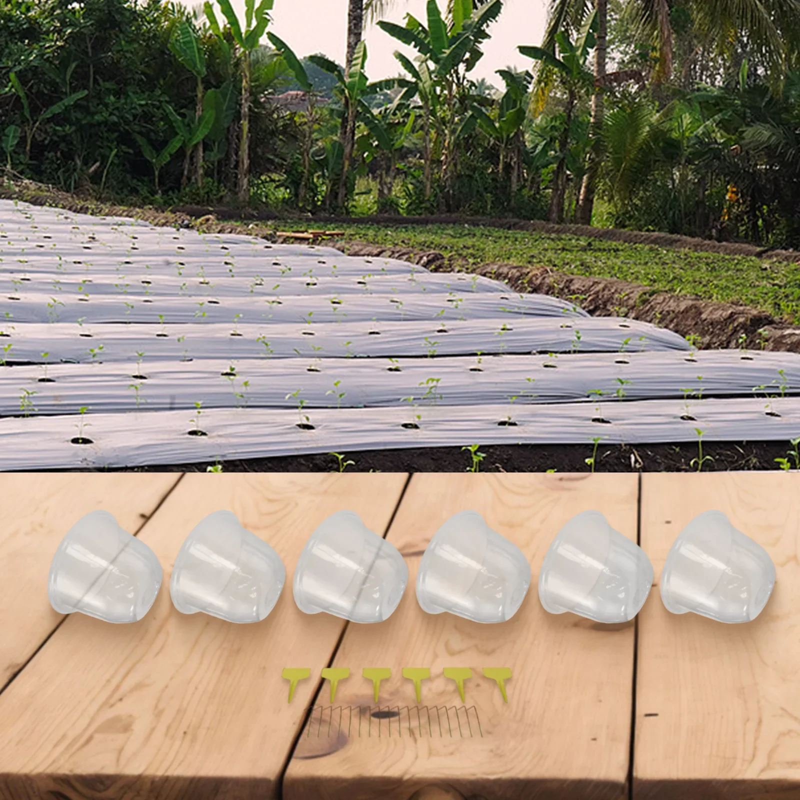 Легко устанавливаемое дышащее покрытие для растений: улучшение циркуляции воздуха, гибкое прилегание, снижение потребности в поливе, для ухода за садом
Легко устанавливаемое дышащее покрытие для растений: улучшение циркуляции воздуха, гибкое прилегание, снижение потребности в поливе, для ухода за садом