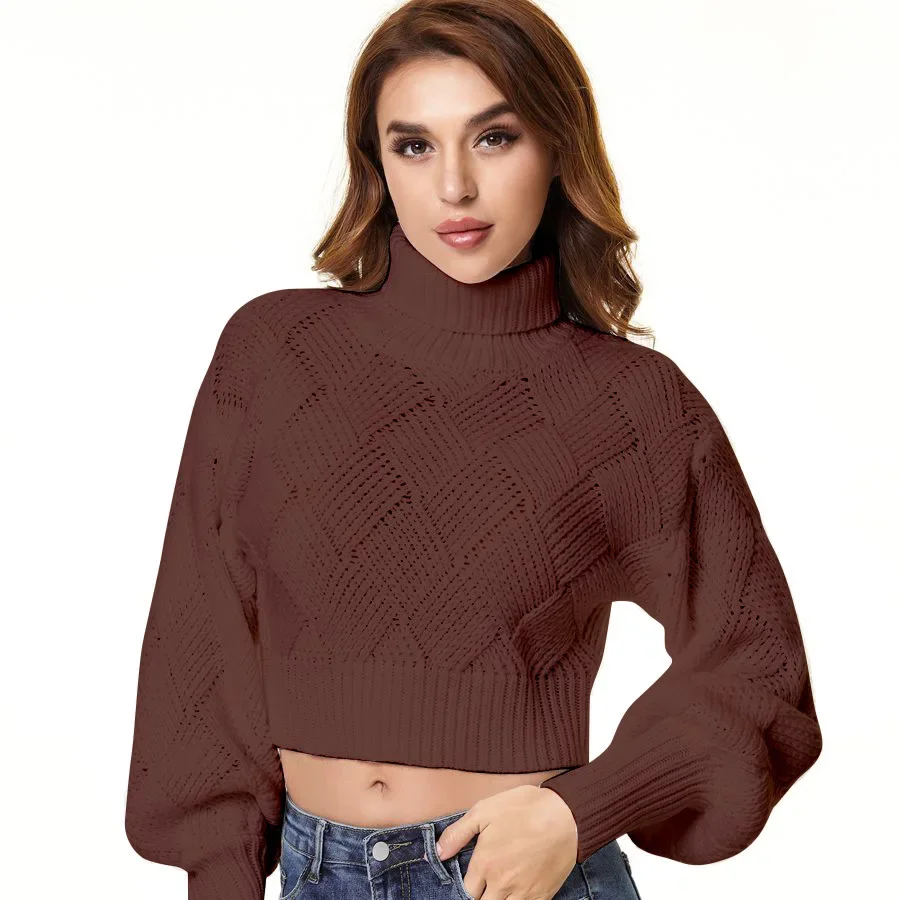 2024 Autumn Winter New Loose Solid Color Turtleneck Pullover Knitted Sweaters Jumpers Elegant Thick Warm Female Basic Knitwear
2024 Autumn Winter New Loose Solid Color Turtleneck Pullover Knitted Sweaters Jumpers Elegant Thick Warm Female Basic Knitwear
