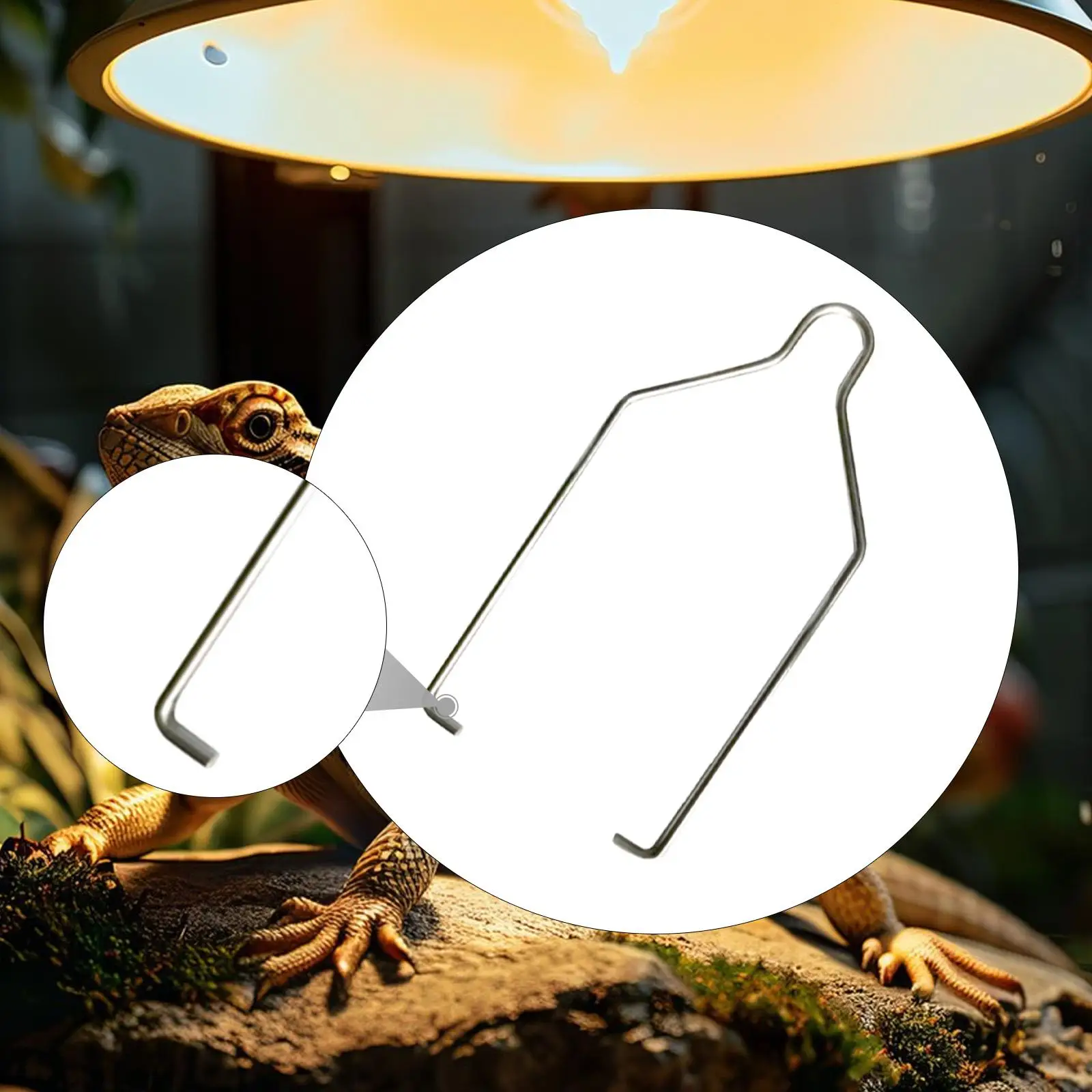 Reptile Lamp Holder Durable Metal Heated Lampshade Clip Hook Fixer for Turtle Cage Setup
Reptile Lamp Holder Durable Metal Heated Lampshade Clip Hook Fixer for Turtle Cage Setup