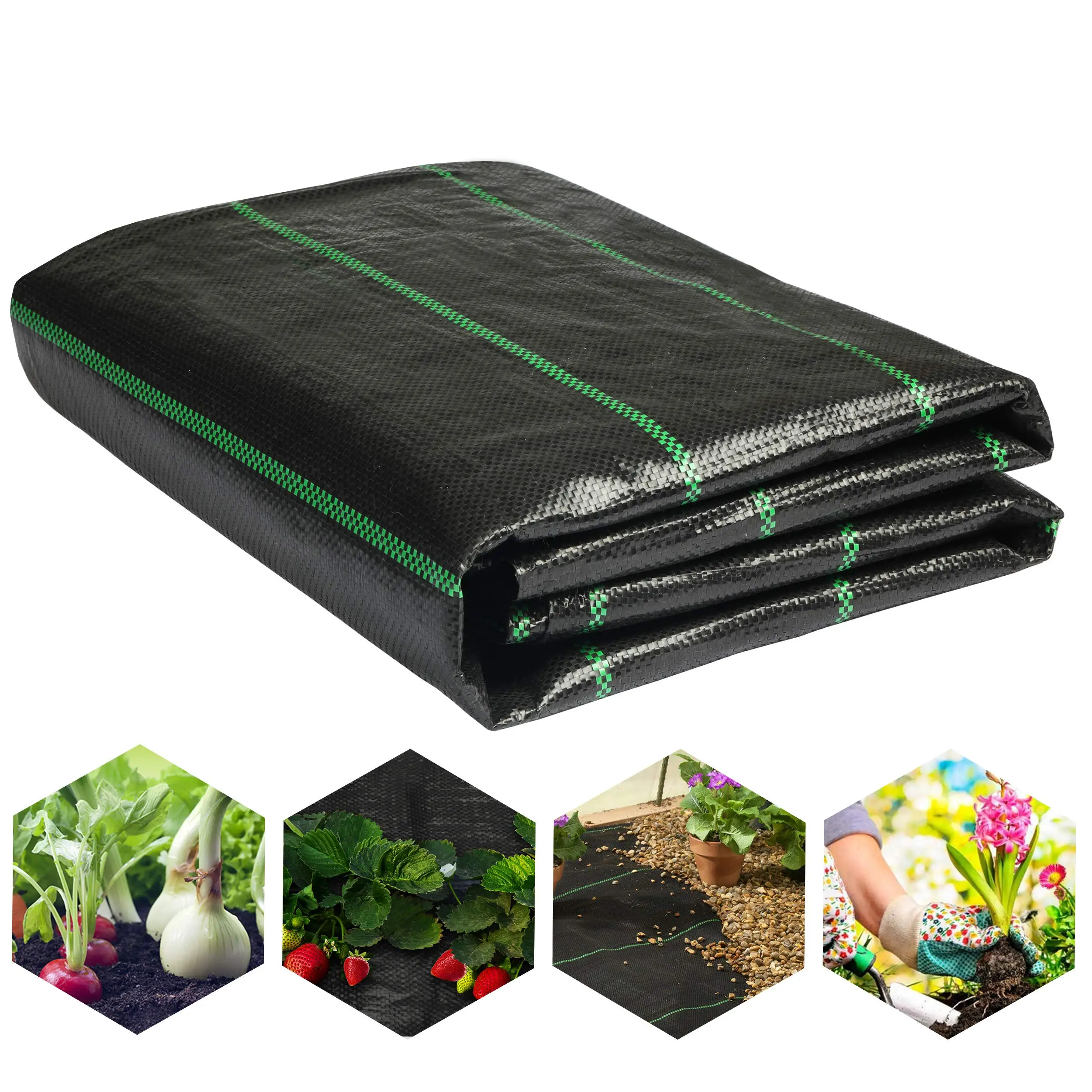 Agricultural Anti-Weed Mesh Geotextile For Weed Control Anti-Weed Mesh Mulch Cloth Greenhouse Weeding Mat
Agricultural Anti-Weed Mesh Geotextile For Weed Control Anti-Weed Mesh Mulch Cloth Greenhouse Weeding Mat