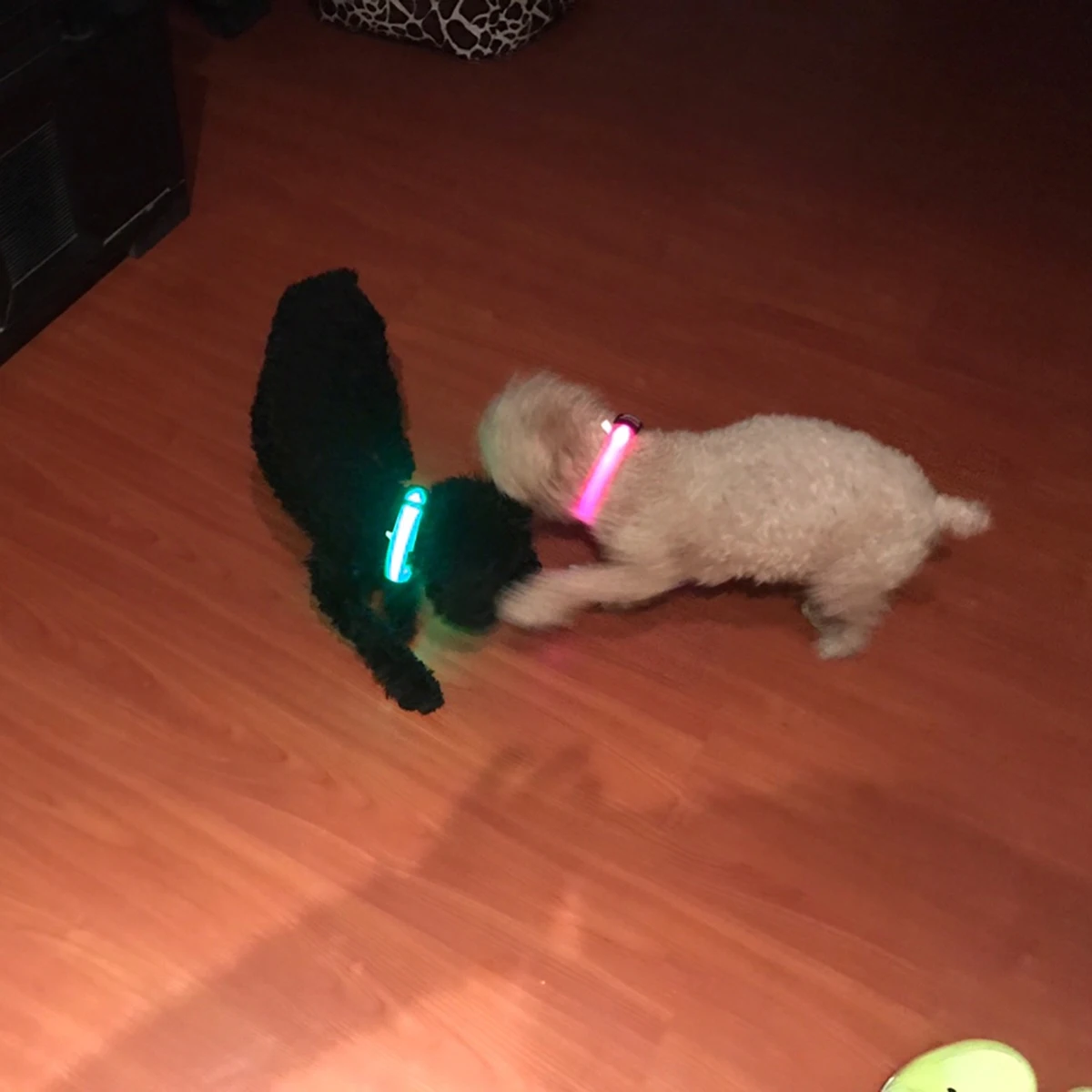 LED Light Pet Ring Luminous Dog Collar Pet Cat Collar Personalized Collars (Blue, Charging Style, S) 
LED Light Pet Ring Luminous Dog Collar Pet Cat Collar Personalized Collars (Blue, Charging Style, S)