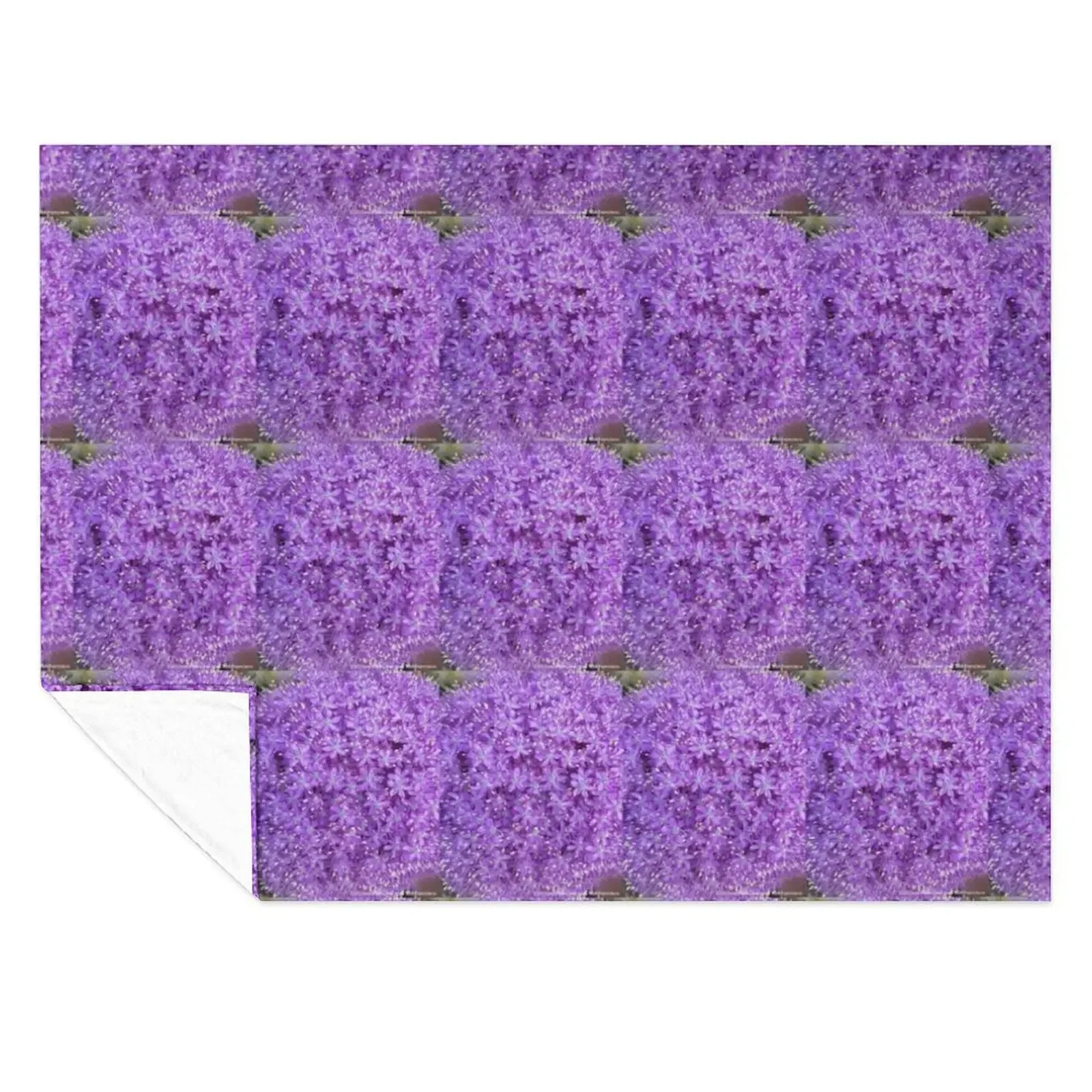 Spring & Summer Throw Blanket For Sofa Thin Travel Sofa Soft Plush Plaid Blankets
Spring & Summer Throw Blanket For Sofa Thin Travel Sofa Soft Plush Plaid Blankets