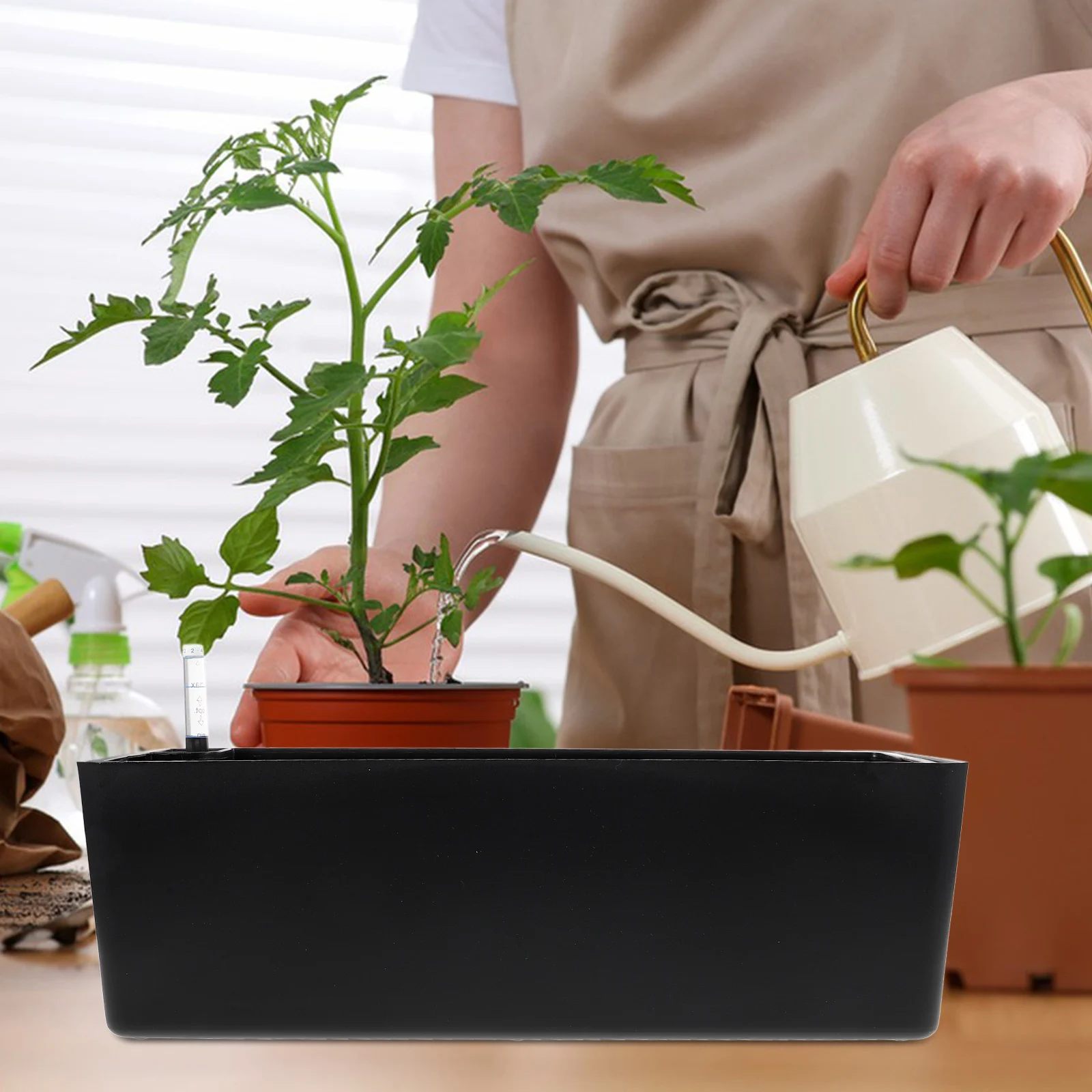 1 set 1 Set Self Watering Flower Pot Thick Vegetable Planter Plastic Succulent Pot Water Level Indicator Space Saving Automatic
1 set 1 Set Self Watering Flower Pot Thick Vegetable Planter Plastic Succulent Pot Water Level Indicator Space Saving Automatic