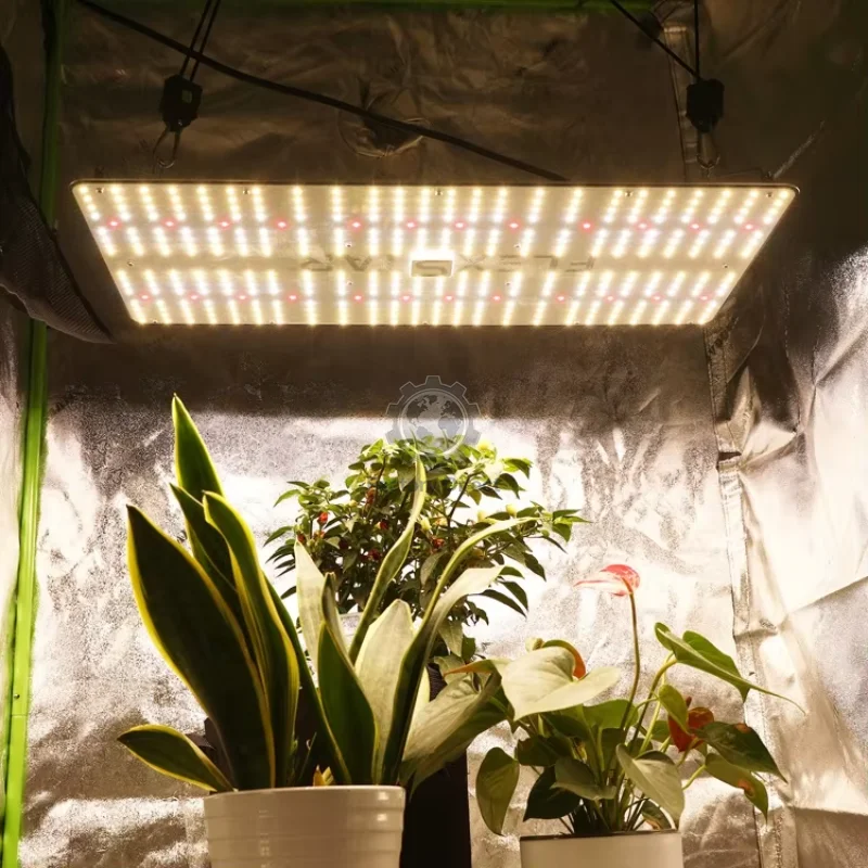 240W One Day Shipping Flexstar Samsung Official Partner Full Spectrum Smart Control Dimmable LED Grow Light for Hydroponic Tent
240W One Day Shipping Flexstar Samsung Official Partner Full Spectrum Smart Control Dimmable LED Grow Light for Hydroponic Tent
