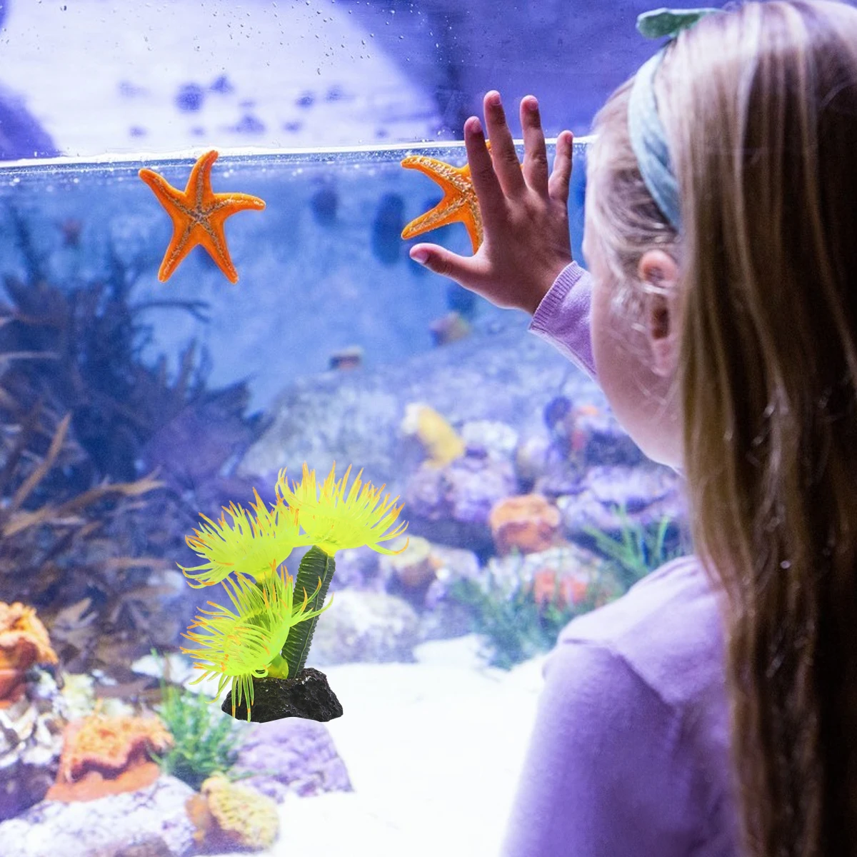 1pc Artificial Coral Orange Premium Aquarium Decor For Fish Tank Manmade Coralline Artifact Decoration Pet Supplies
1pc Artificial Coral Orange Premium Aquarium Decor For Fish Tank Manmade Coralline Artifact Decoration Pet Supplies