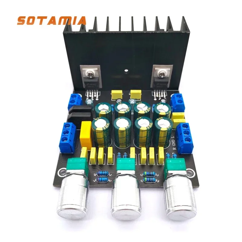 SOTAMIA LM1875 Power Amplifier Audio Board 2.0 Two Channel Subwoofer Amplifier Module 2x20W with Treble Bass Tone Adjustable
SOTAMIA LM1875 Power Amplifier Audio Board 2.0 Two Channel Subwoofer Amplifier Module 2x20W with Treble Bass Tone Adjustable