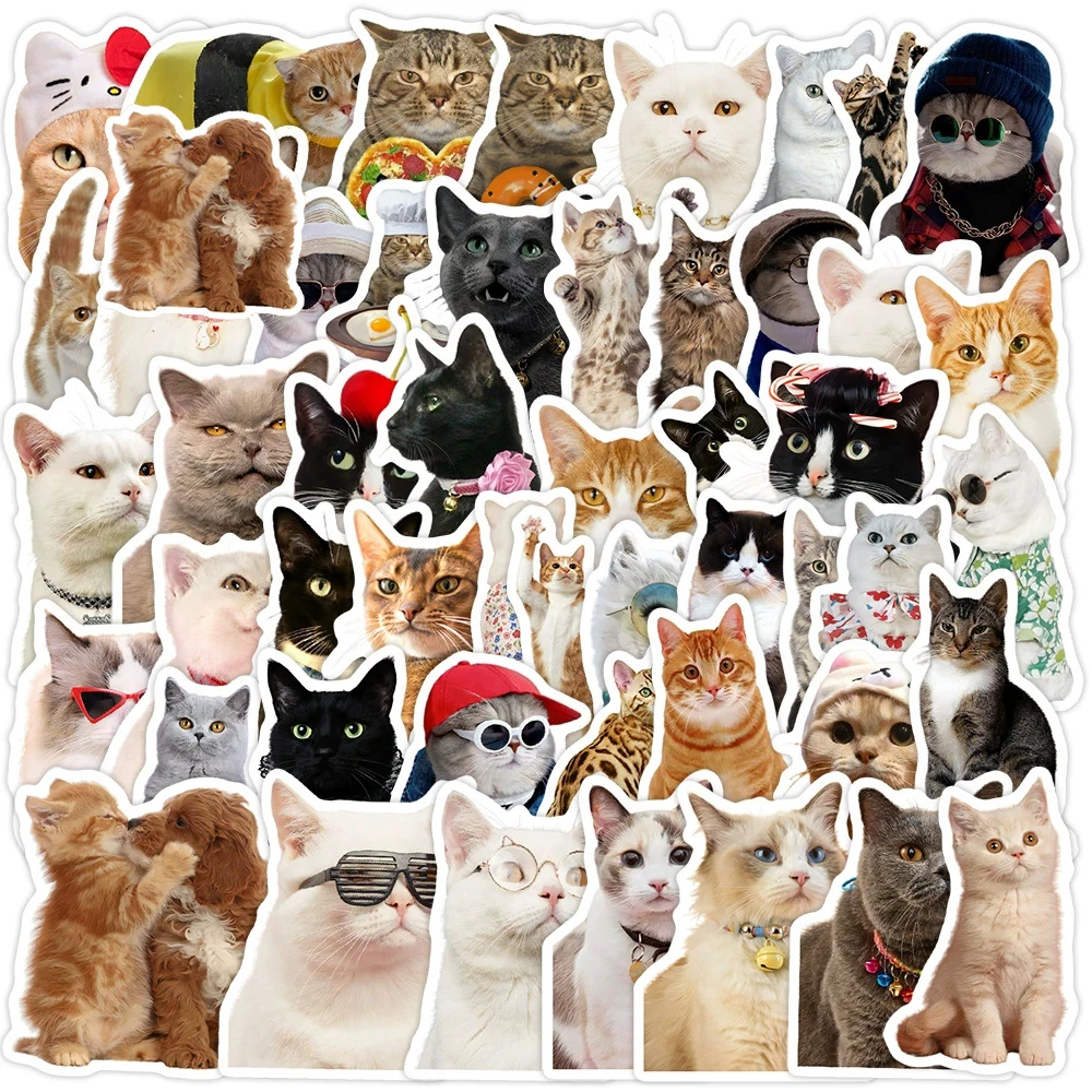 10/30/50pcs Cute Animal Cat Stickers Funny MEME Cartoon Sticker DIY Motorcycle Luggage Helmet Waterproof Decoration Decals Toys
10/30/50pcs Cute Animal Cat Stickers Funny MEME Cartoon Sticker DIY Motorcycle Luggage Helmet Waterproof Decoration Decals Toys