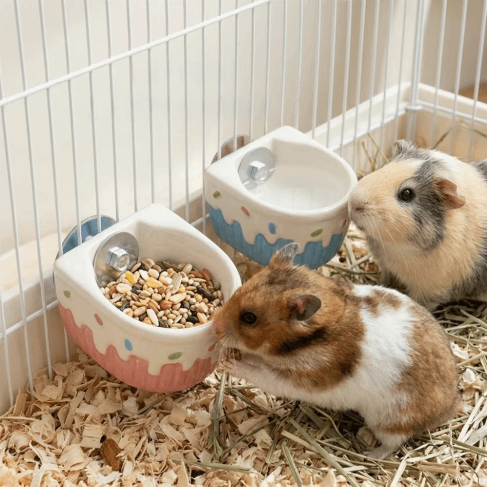 Mini Hanging Ceramic Hamster Food Bowl Fixed Bowl Easy To Clean Automatic Feeder Non-Toxic Safe Durable Small Pets Feeding Bowl
Mini Hanging Ceramic Hamster Food Bowl Fixed Bowl Easy To Clean Automatic Feeder Non-Toxic Safe Durable Small Pets Feeding Bowl