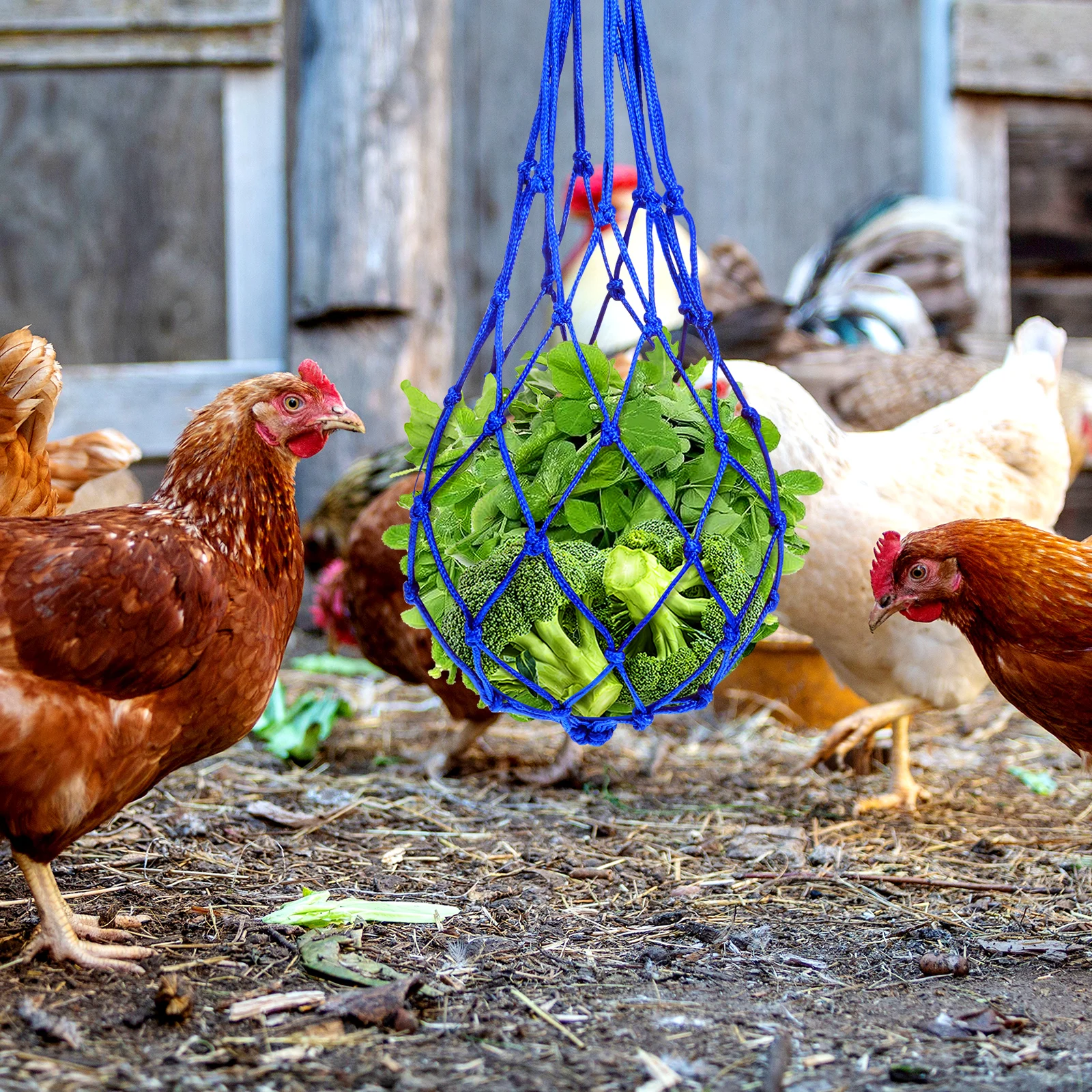 Livestock Feeding Mesh Bag 64 Nylon Blue Durable Hanging Poultry Chicken Feeder Food Container Strong Braided Rope Practical
Livestock Feeding Mesh Bag 64 Nylon Blue Durable Hanging Poultry Chicken Feeder Food Container Strong Braided Rope Practical