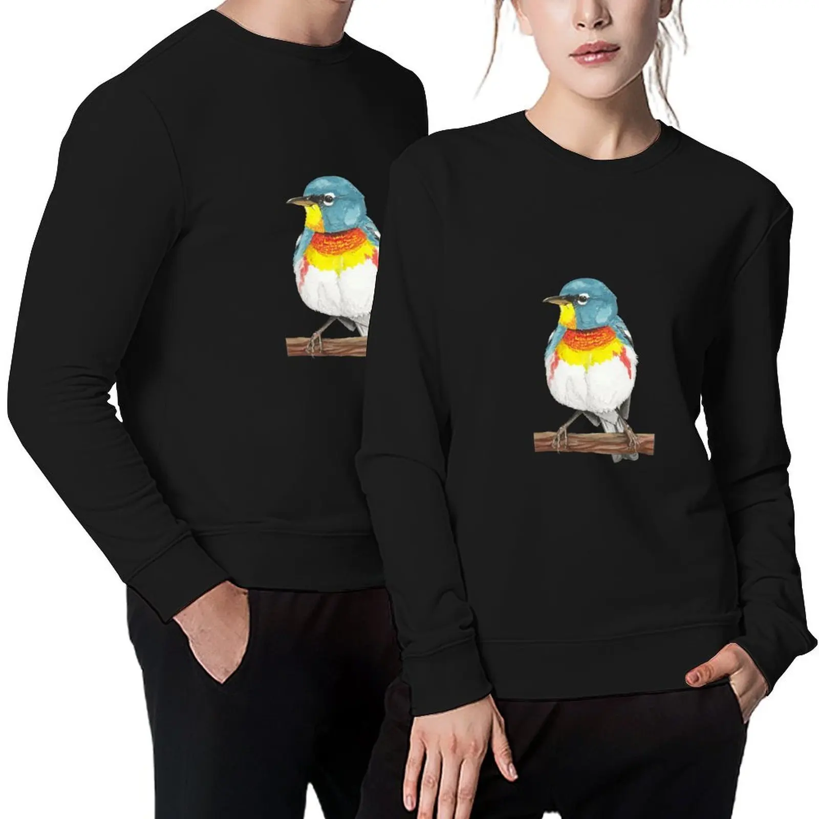 Northern Parula Pullover men's autumn clothes korean autumn clothes men clothes men's winter sweater new sweatshirt
Northern Parula Pullover men's autumn clothes korean autumn clothes men clothes men's winter sweater new sweatshirt