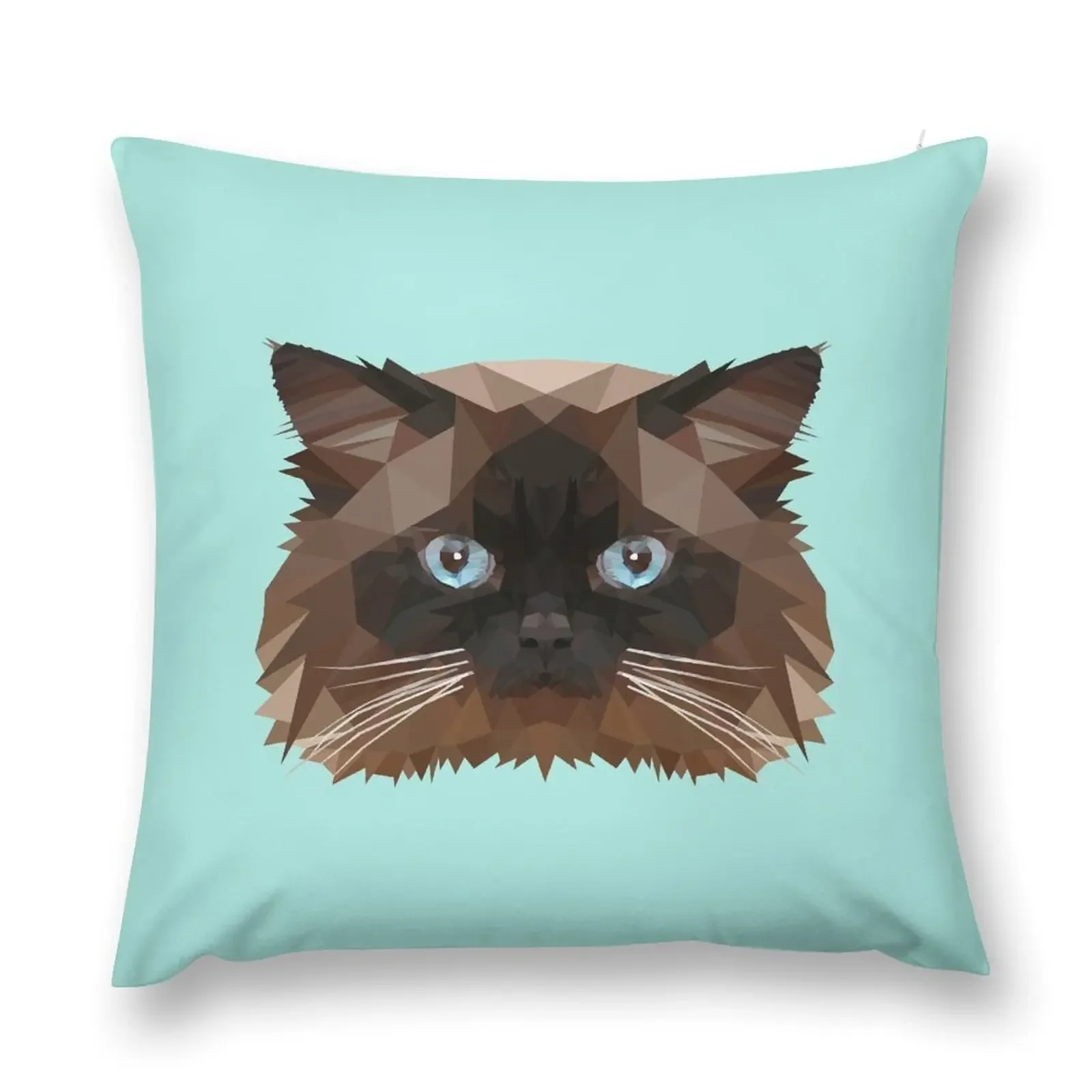 Himalayan cat Throw Pillow Decorative Pillow Covers For Sofa autumn decoration pillow
Himalayan cat Throw Pillow Decorative Pillow Covers For Sofa autumn decoration pillow
