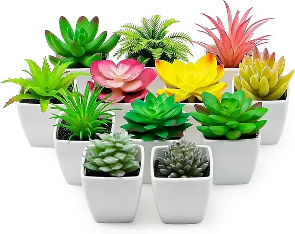 12pcs Artificial Succulents Plants Indoor Decor in Pots Fake Succulent Plant Faux Small Lifelike
12pcs Artificial Succulents Plants Indoor Decor in Pots Fake Succulent Plant Faux Small Lifelike
