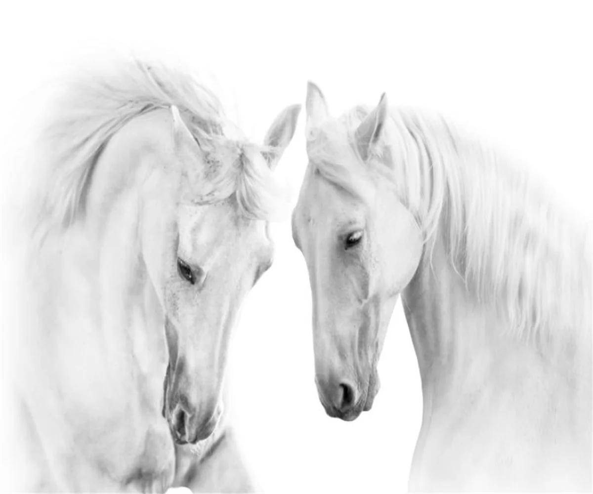 Custom 3D Photo Wallpaper Living Room Bedroom Wall Painting Nordic White Horse Wall wallpapers home decor Papel De Parede
Custom 3D Photo Wallpaper Living Room Bedroom Wall Painting Nordic White Horse Wall wallpapers home decor Papel De Parede