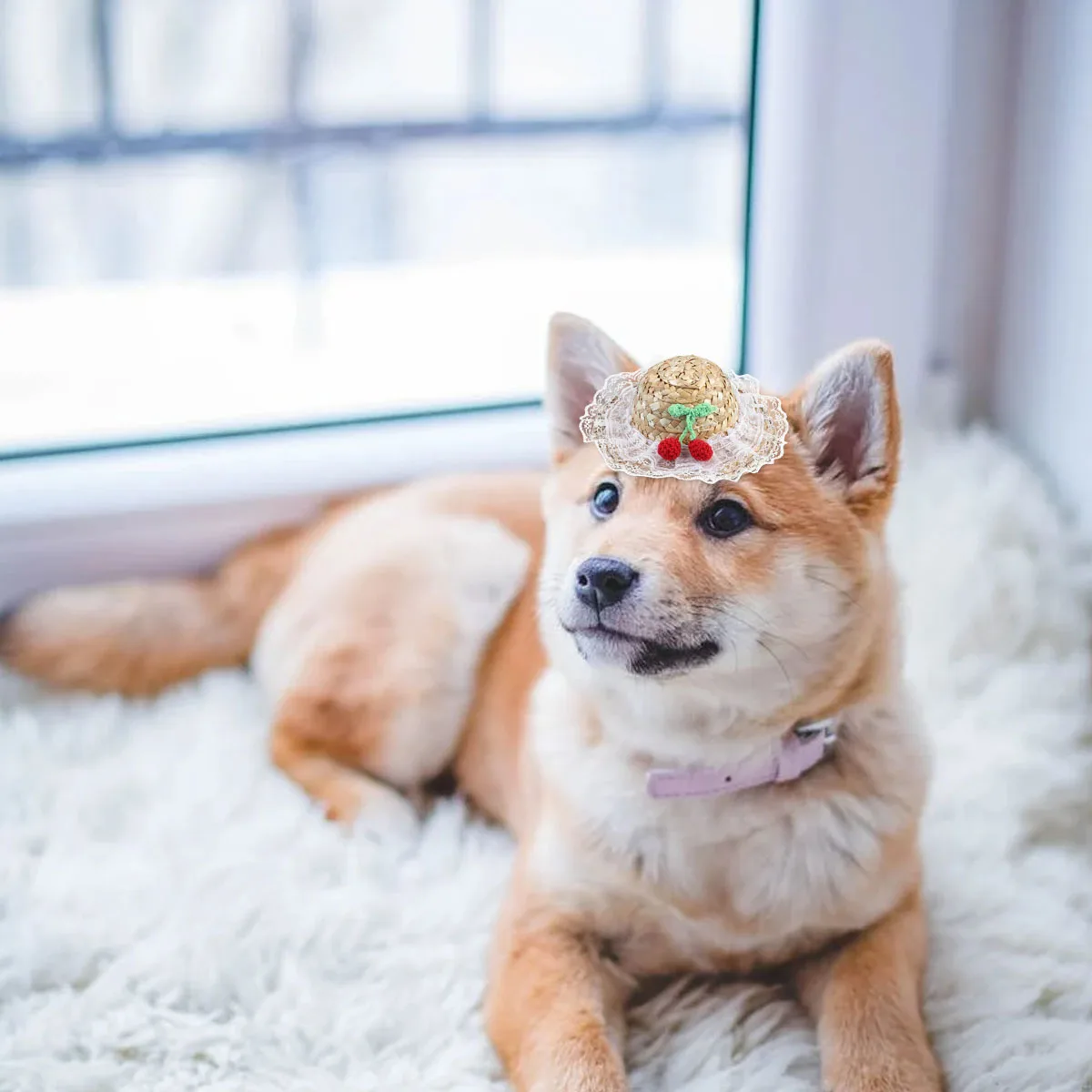 Lovely Pet Straw Hat Soft and Comfortable Woven Design Fashionable Cat Hat Daily Wear Photo Accessory
Lovely Pet Straw Hat Soft and Comfortable Woven Design Fashionable Cat Hat Daily Wear Photo Accessory