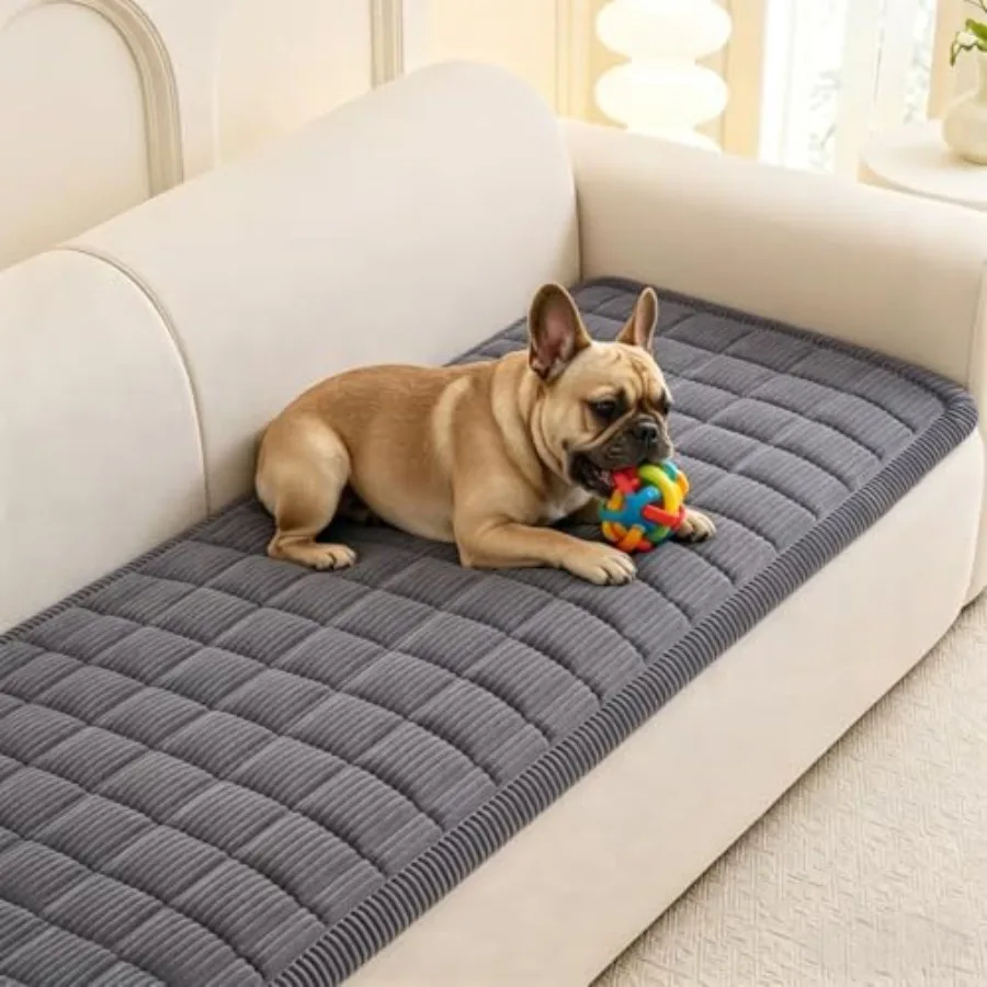 Couch Cover for 3 Cushion Couch Sofa Grey Sofa Covers for Dogs Washable Non-Slip Sofa Protector Pet Friendly Dog Mats for Couch
Couch Cover for 3 Cushion Couch Sofa Grey Sofa Covers for Dogs Washable Non-Slip Sofa Protector Pet Friendly Dog Mats for Couch
