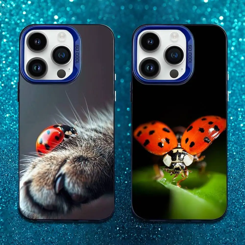 Ladybug EvenStar Phone Case For iPhone 16,15,14,13,12,11,Mini,XS,Pro,SE,MAX Blue Matte Silicone Cover
Ladybug EvenStar Phone Case For iPhone 16,15,14,13,12,11,Mini,XS,Pro,SE,MAX Blue Matte Silicone Cover
