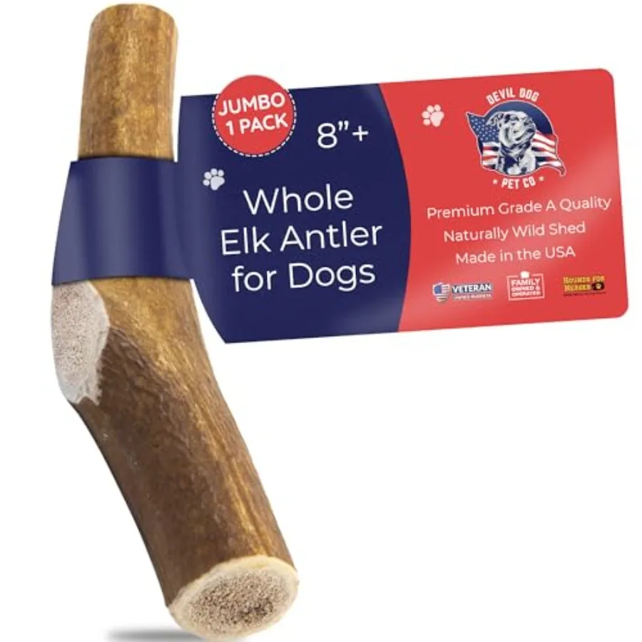 . Elk Antlers for Dogs Jumbo 8"+ 1 Pack Grade A Long Lasting Chew for Aggressive Chewers Premium USA Naturally Shed Antler Heal
. Elk Antlers for Dogs Jumbo 8"+ 1 Pack Grade A Long Lasting Chew for Aggressive Chewers Premium USA Naturally Shed Antler Heal