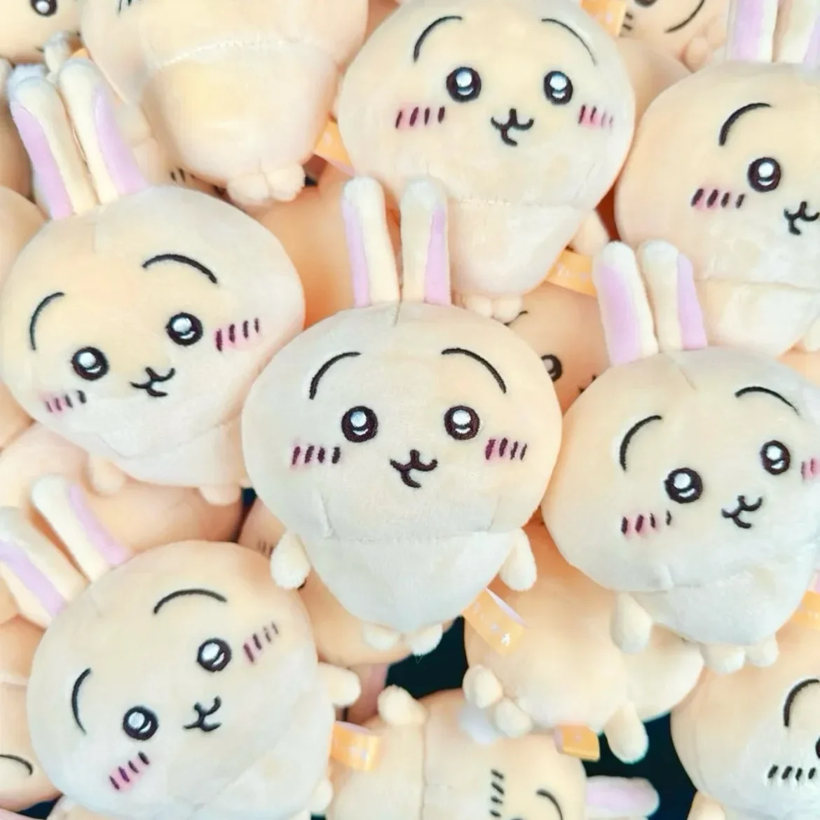 Chiikawa Plush Doll Hachiware Momoka Pendant Anime Usagi Sea Otte Cute Doll Plush Hanging Bag Packaging Decoration Girl Gift
Chiikawa Plush Doll Hachiware Momoka Pendant Anime Usagi Sea Otte Cute Doll Plush Hanging Bag Packaging Decoration Girl Gift