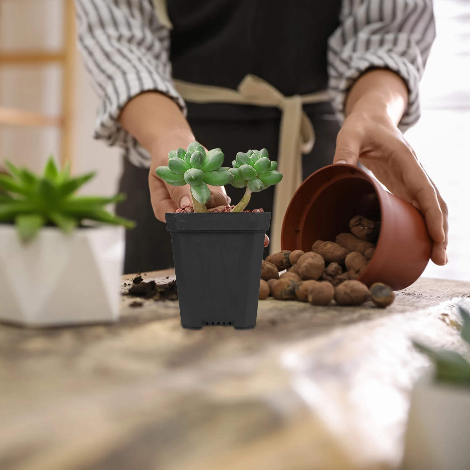 20 Pcs Garden Small Flower Pots of Succulent Green Plants Indoor Flowerpot Plastic Starter
20 Pcs Garden Small Flower Pots of Succulent Green Plants Indoor Flowerpot Plastic Starter