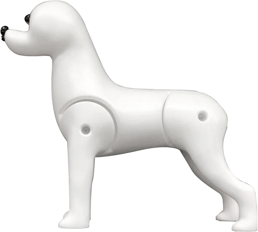 RMD-3101 Model Dog for Pet School Display Grooming Practice Bichon Frise Full Body Pet Dog Model Educational Dog
RMD-3101 Model Dog for Pet School Display Grooming Practice Bichon Frise Full Body Pet Dog Model Educational Dog