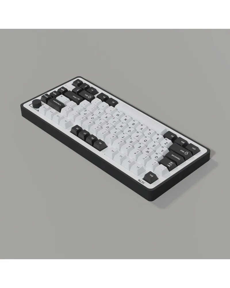 Korean two-color injection molding black and white keycaps Original factory height Boxed Pbt material Full set of mechanical key
Korean two-color injection molding black and white keycaps Original factory height Boxed Pbt material Full set of mechanical key