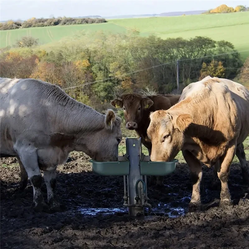 N04R Cow Drinking Water Automatic Water Bowl Drinking Device Drinking Device Cow Drinking Trough Drinking Water Equipment
N04R Cow Drinking Water Automatic Water Bowl Drinking Device Drinking Device Cow Drinking Trough Drinking Water Equipment