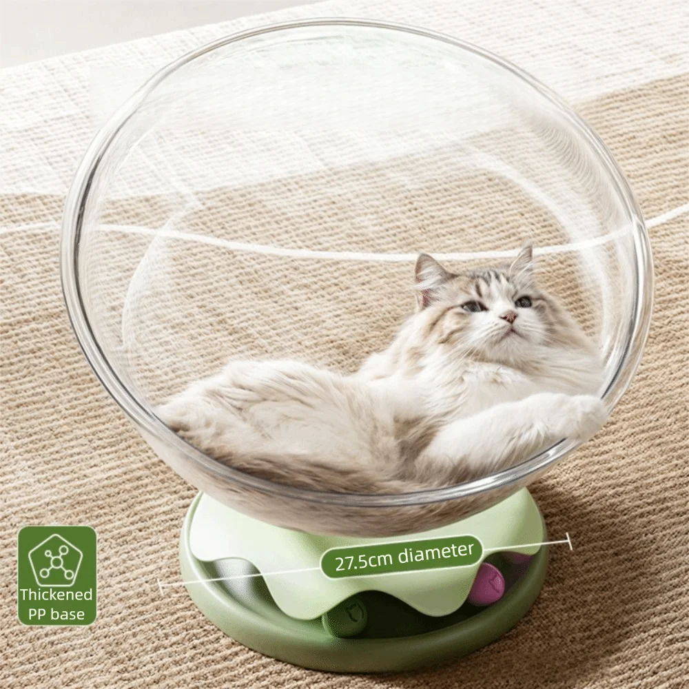 Creative Transparent Cat Hole Pet Bed Waterproof Hemispherical Space Capsule Cat Bed Removable Cat House Cover Pet
Creative Transparent Cat Hole Pet Bed Waterproof Hemispherical Space Capsule Cat Bed Removable Cat House Cover Pet