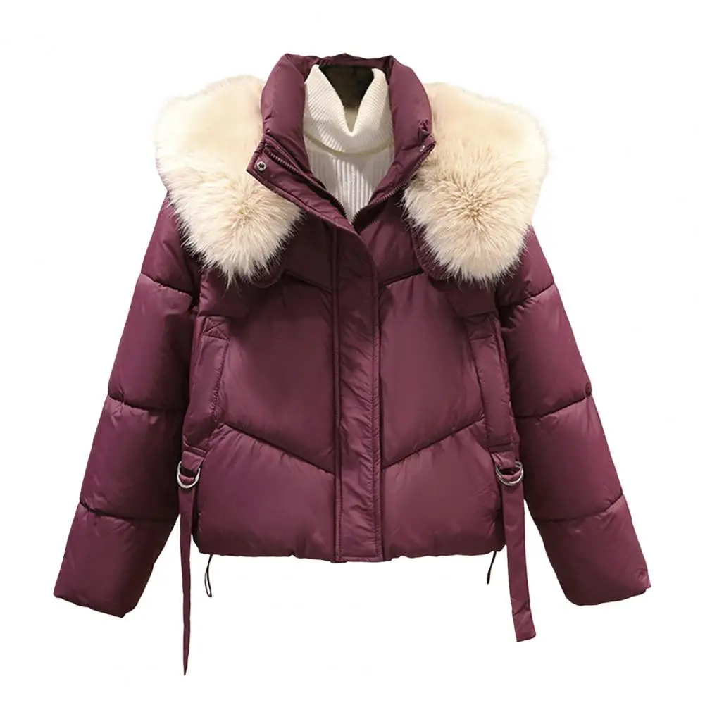 New 2025 Women Newest Cotton Padded Jacket Brown Black Fall Winter Hooded Short Coat Zip Parkas Warm Fashion Ladies
New 2025 Women Newest Cotton Padded Jacket Brown Black Fall Winter Hooded Short Coat Zip Parkas Warm Fashion Ladies