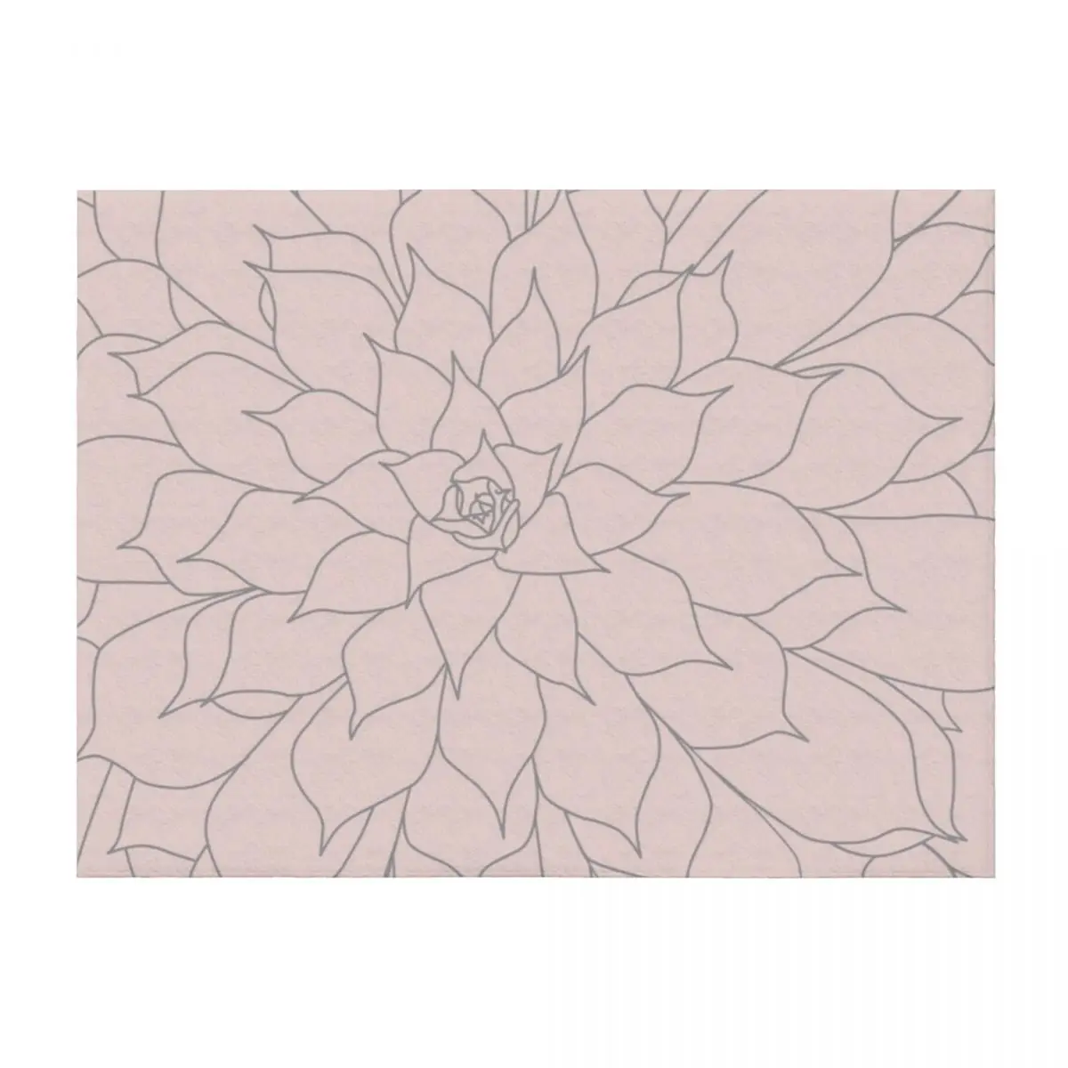 Blush Pink and Grey Succulent Throw Blanket Blankets Sofas Of Decoration Hair Quilt Polar Blankets
Blush Pink and Grey Succulent Throw Blanket Blankets Sofas Of Decoration Hair Quilt Polar Blankets