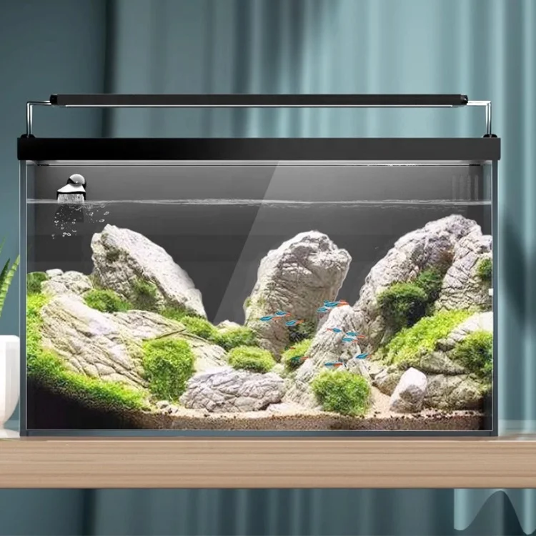 Desktop Factory Wholesale Back Office Aquariums Fish Tanks With Aquarium Accessories Aquarium Filter Ultra White Glass Fish Tank
Desktop Factory Wholesale Back Office Aquariums Fish Tanks With Aquarium Accessories Aquarium Filter Ultra White Glass Fish Tank
