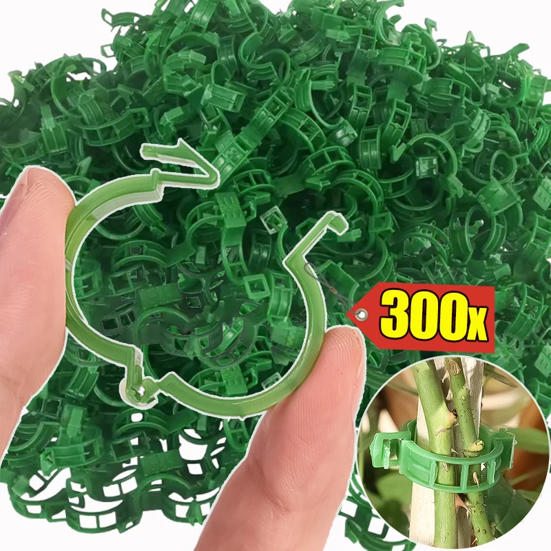 Reusable Plastic Plant Support Clips Climbing Tomato Vegetables Stalk Holders Buckle Vine Strapping Fixing Clip Home Garden Tool
Reusable Plastic Plant Support Clips Climbing Tomato Vegetables Stalk Holders Buckle Vine Strapping Fixing Clip Home Garden Tool