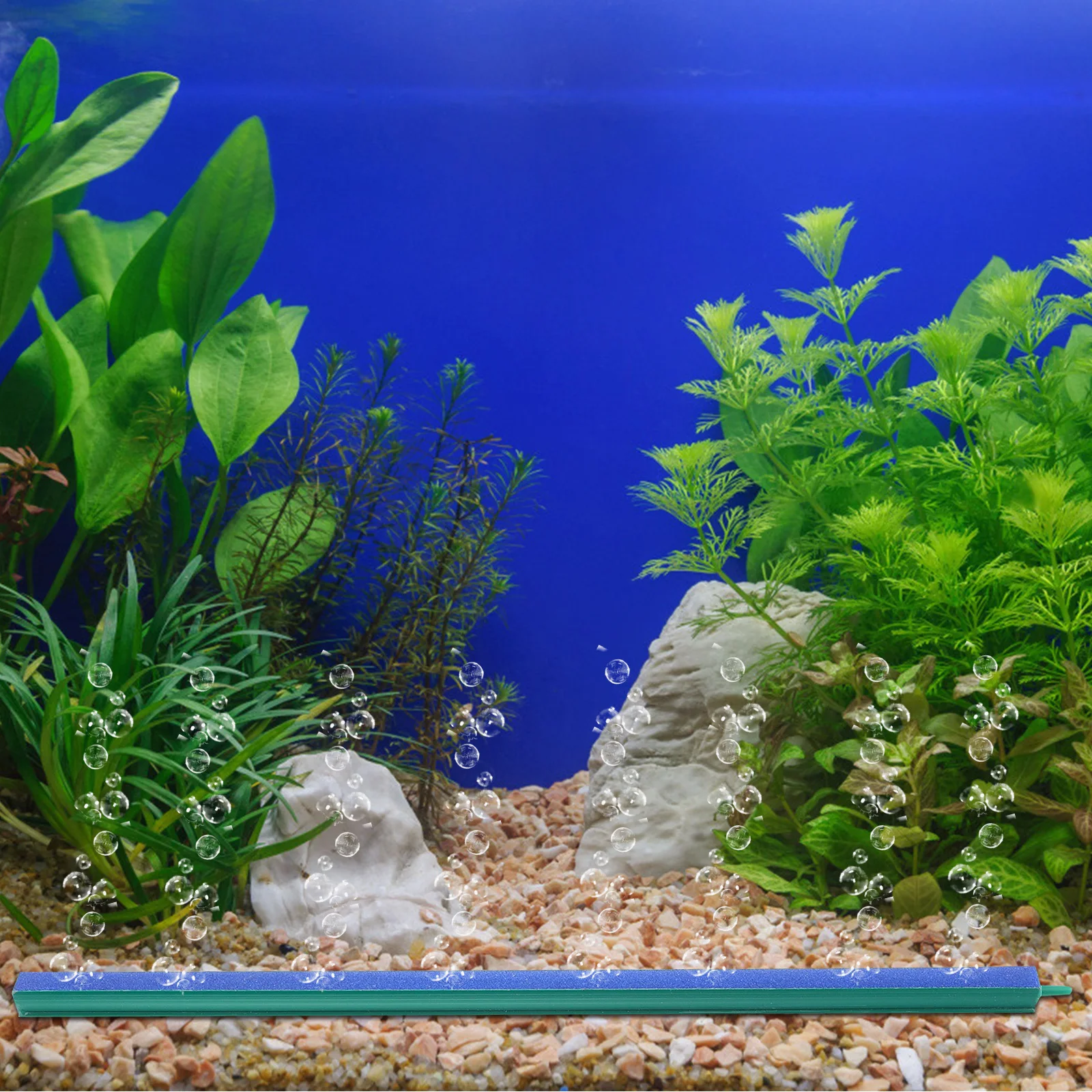 Small Aquarium Air Stone with Plastic Base for Fish Tanks High Efficiency Bubble Diffuser for Healthy Water Conditions
Small Aquarium Air Stone with Plastic Base for Fish Tanks High Efficiency Bubble Diffuser for Healthy Water Conditions