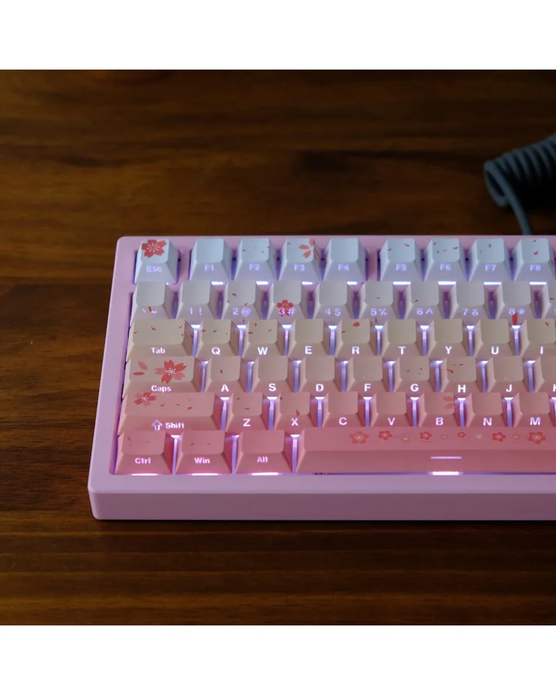 Pink Keycap PBT Original Height, Sublimation, Mechanical Keyboard Cap Wooting
Pink Keycap PBT Original Height, Sublimation, Mechanical Keyboard Cap Wooting
