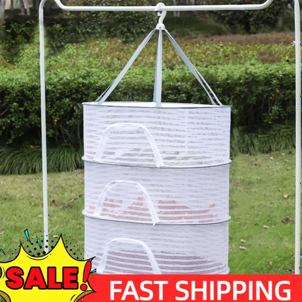 Сушилка для трав с 4 уровнями и молниями, съемная ветрозащитная сушилка с мелкозернистой сеткой для цветов, бутонов и растений, органайзер
Сушилка для трав с 4 уровнями и молниями, съемная ветрозащитная сушилка с мелкозернистой сеткой для цветов, бутонов и растений, органайзер