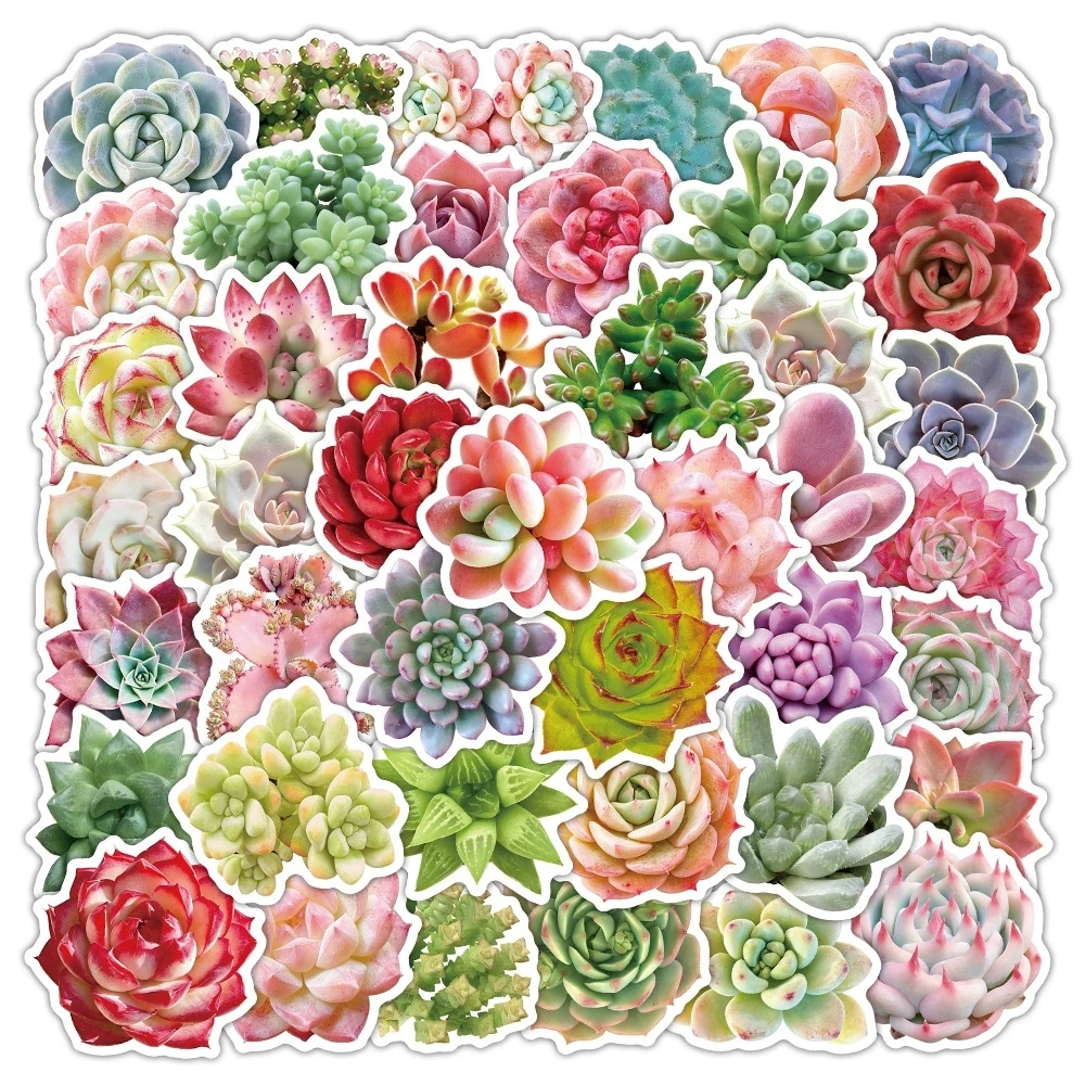 50 Pcs Plant Succulent Graffiti Stickers Cute Fresh Waterproof Vinyl Decals for Water Bottle Laptop Journal Stationery Notebook
50 Pcs Plant Succulent Graffiti Stickers Cute Fresh Waterproof Vinyl Decals for Water Bottle Laptop Journal Stationery Notebook