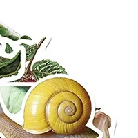 50PCS DIY Decoration Scrapbooking School Supplies Vintage Rural Life PVC Sticky Sticker Aesthetic Children's Stationery
50PCS DIY Decoration Scrapbooking School Supplies Vintage Rural Life PVC Sticky Sticker Aesthetic Children's Stationery