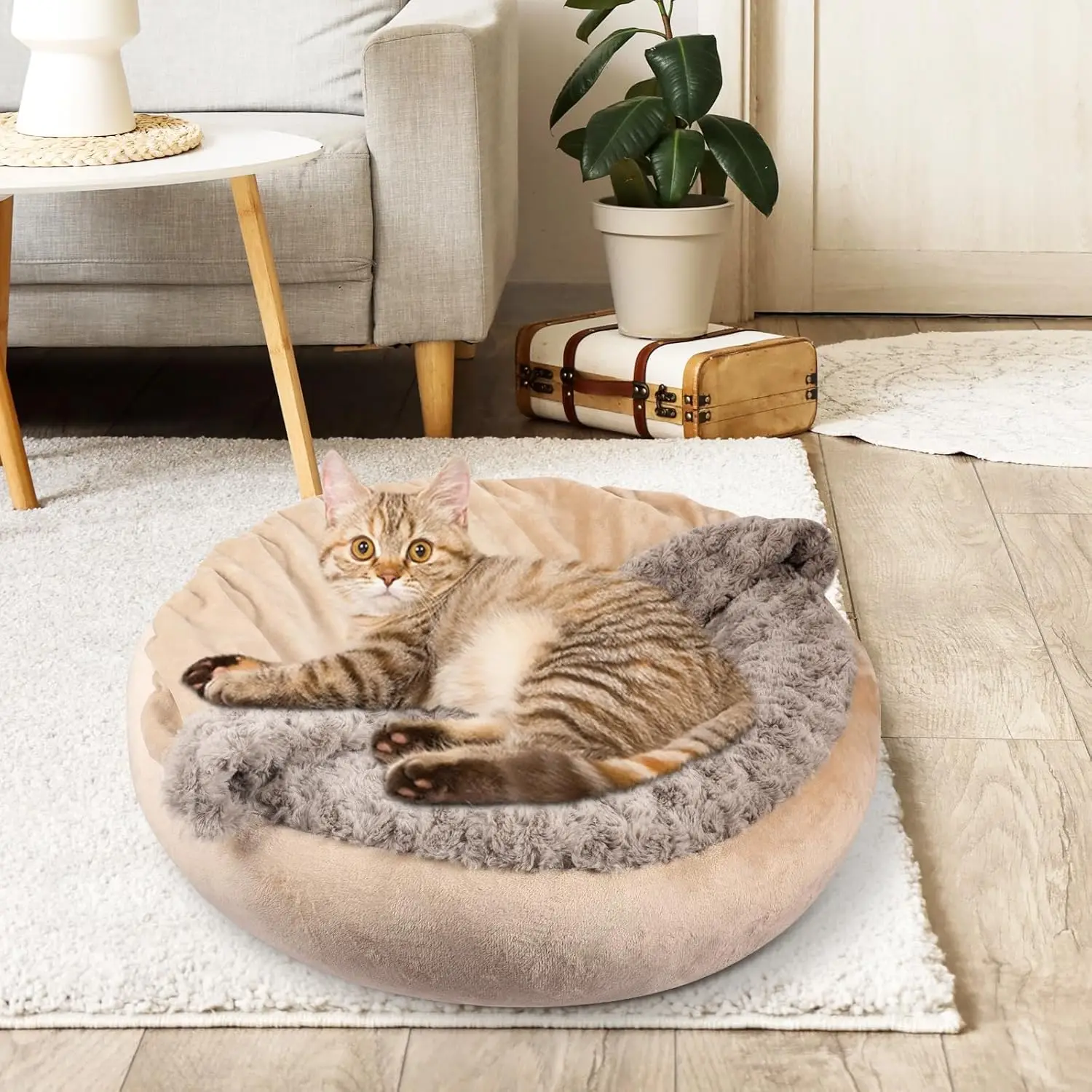 Small Dog Bed Cat Bed with Hooded Blanket, Cozy Cuddler Luxury Puppy Pet Bed, Donut Round Calming Anti-Anxiety Dog Burrow Cave
Small Dog Bed Cat Bed with Hooded Blanket, Cozy Cuddler Luxury Puppy Pet Bed, Donut Round Calming Anti-Anxiety Dog Burrow Cave