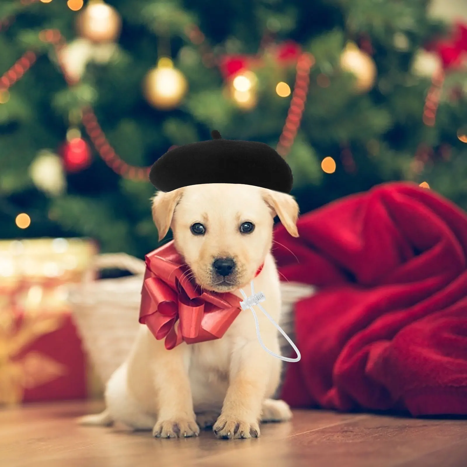 Pet Beret Hat Black Mini Decorative Photo Prop Dog Cat Headwear Party Costume Supplies Lightweight Comfortable Fits Small Pets
Pet Beret Hat Black Mini Decorative Photo Prop Dog Cat Headwear Party Costume Supplies Lightweight Comfortable Fits Small Pets