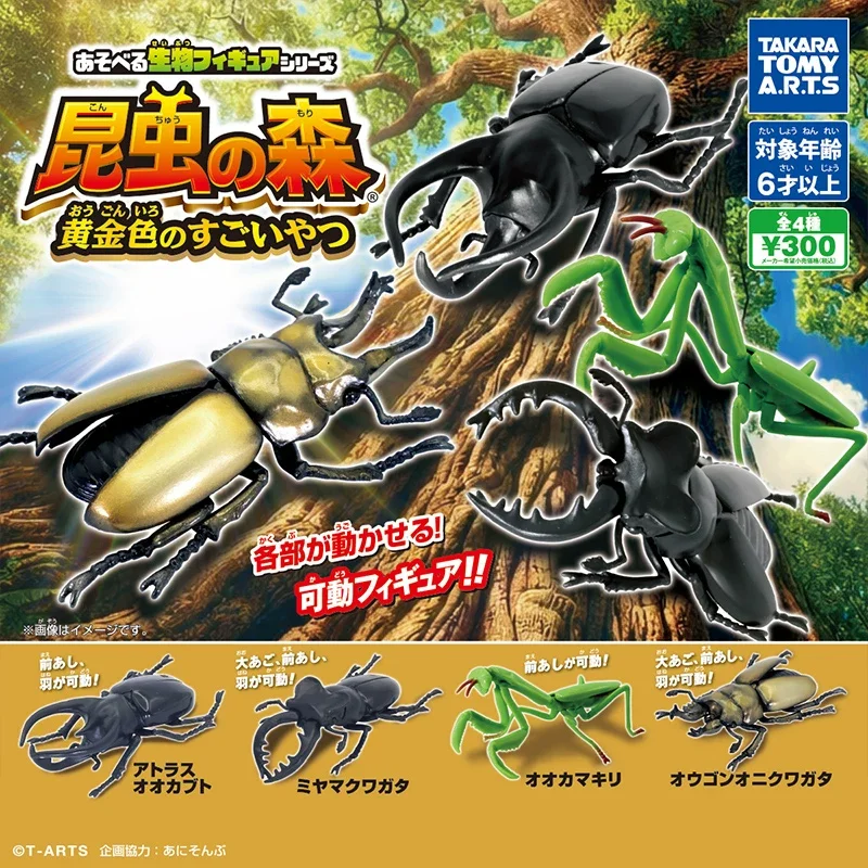 In Stock BANDAI Gashapon The Diversity of Life on Dynastes hercules Mantodea Allotopus Model GACHA TOYS Big Biological Map Of
In Stock BANDAI Gashapon The Diversity of Life on Dynastes hercules Mantodea Allotopus Model GACHA TOYS Big Biological Map Of