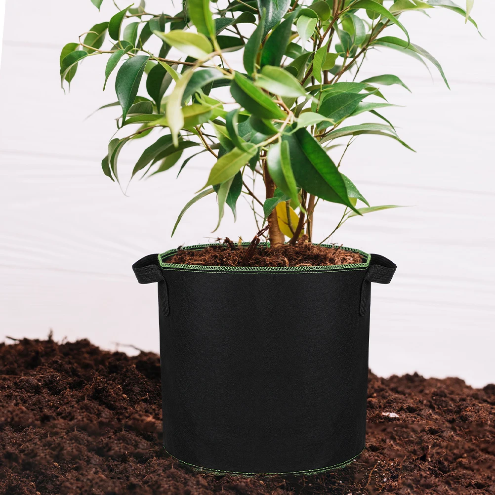 6 Pcs Plants Planting Bucket Seedling Bag Potatoes Grow Bags Planter Fruit Gardening Black Planters Growing
6 Pcs Plants Planting Bucket Seedling Bag Potatoes Grow Bags Planter Fruit Gardening Black Planters Growing