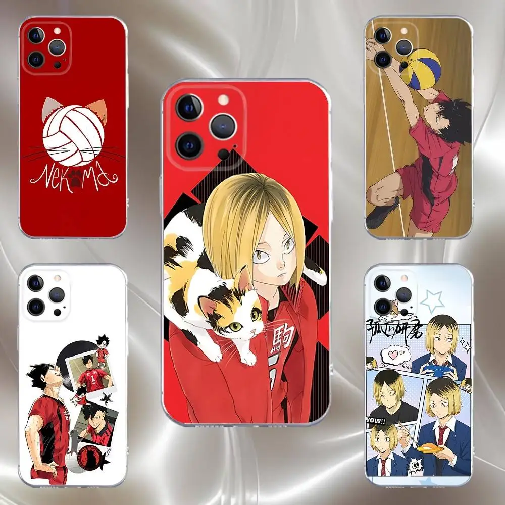 Haikyuu Nekoma Kuroo Kenma Phone Case For iPhone 16,15,14,13,12,11 Pro,Max,Plus,X,XS,XR,SE,Mini Transparent Silicone Soft
Haikyuu Nekoma Kuroo Kenma Phone Case For iPhone 16,15,14,13,12,11 Pro,Max,Plus,X,XS,XR,SE,Mini Transparent Silicone Soft